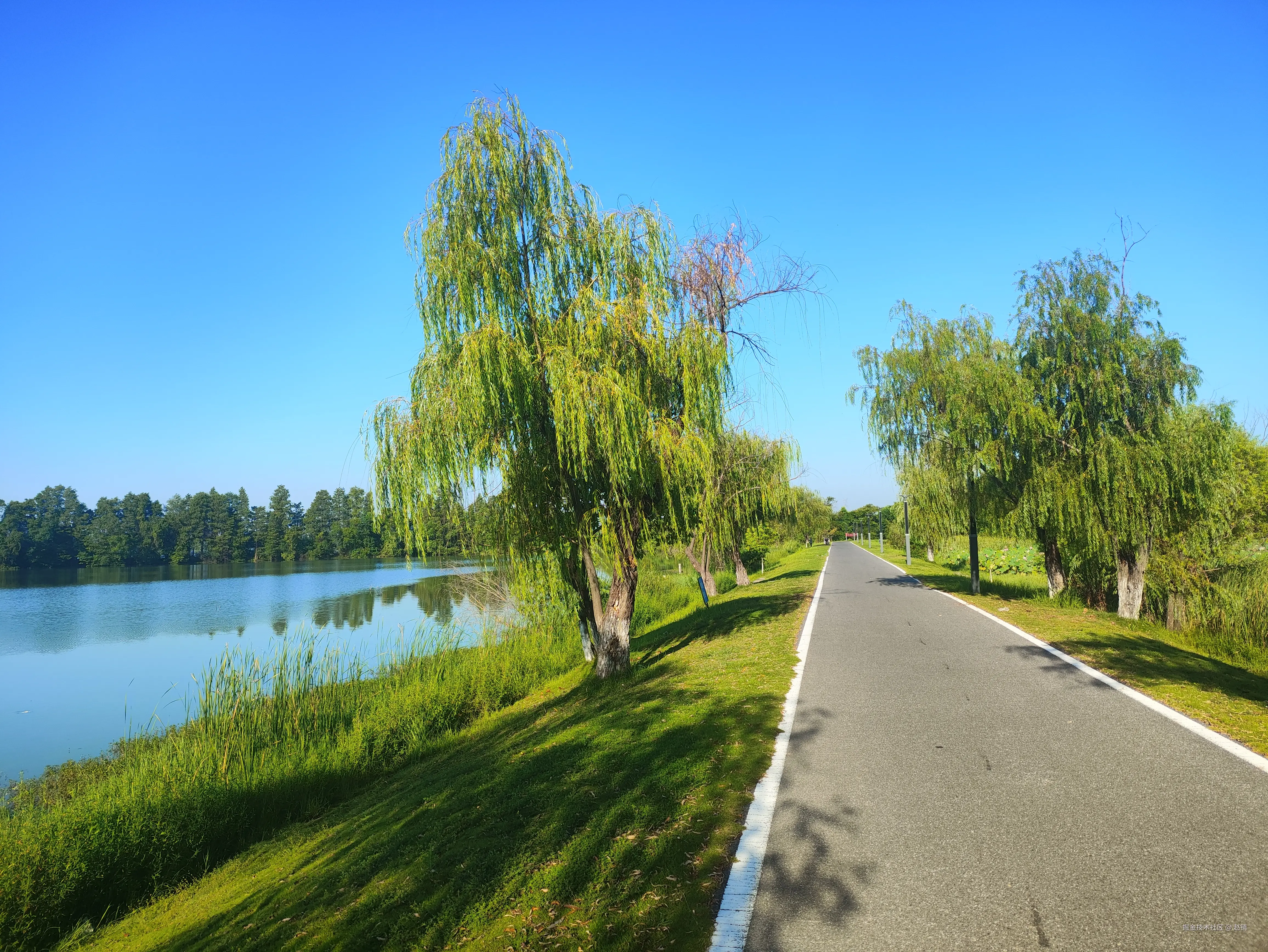 赵镇于2025-08-25 14:50发布的图片