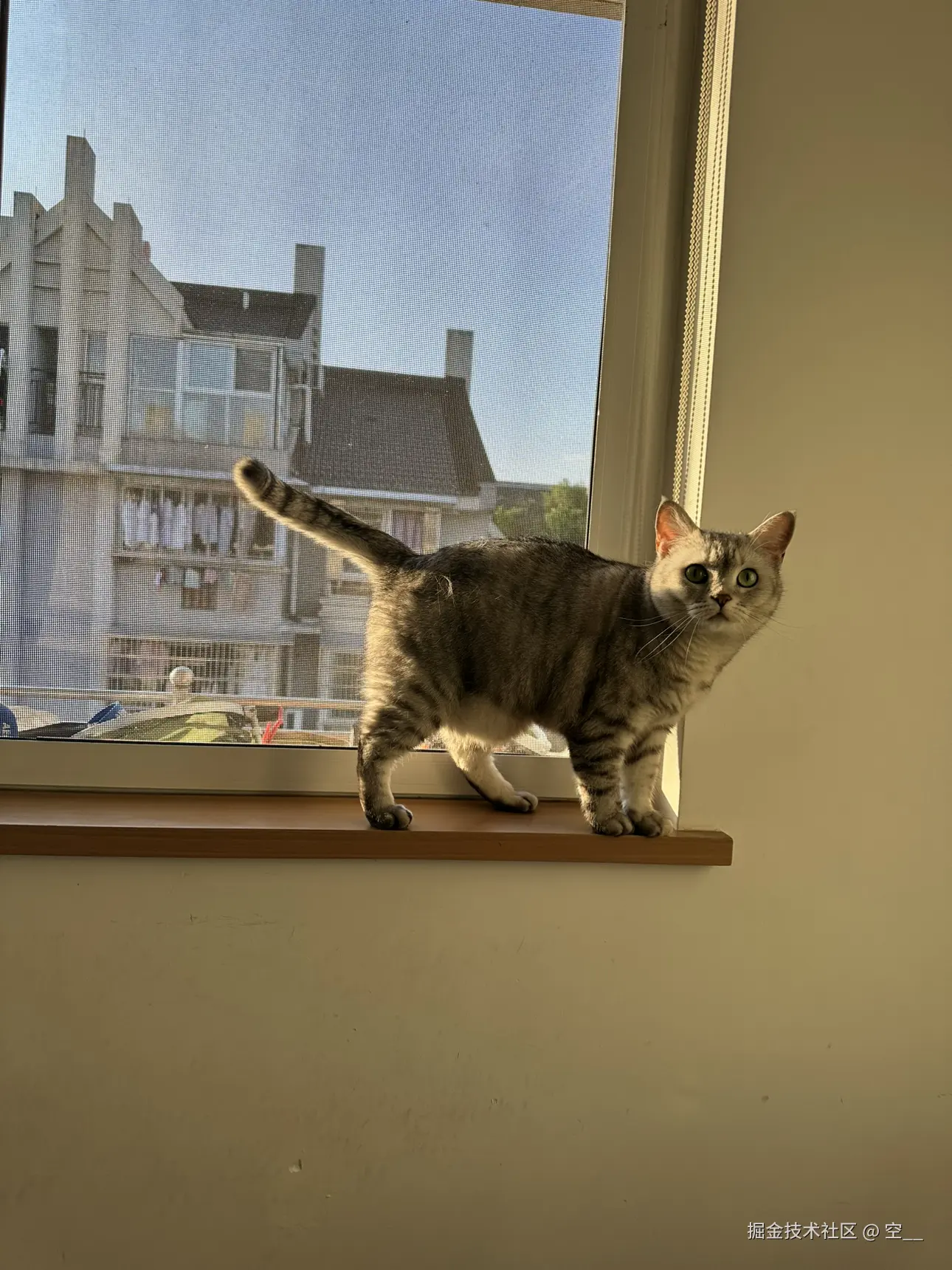 空__于2025-04-27 13:56发布的图片