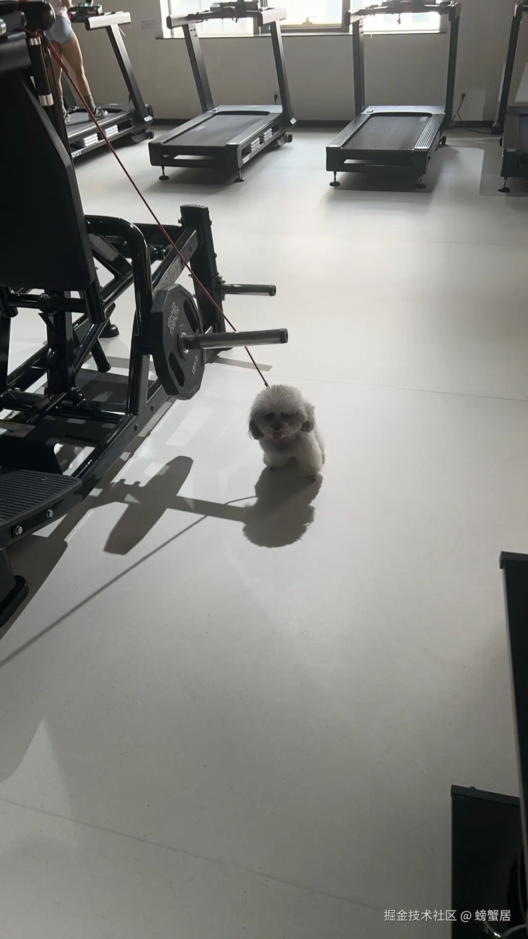 螃蟹居于2025-12-02 13:00发布的图片