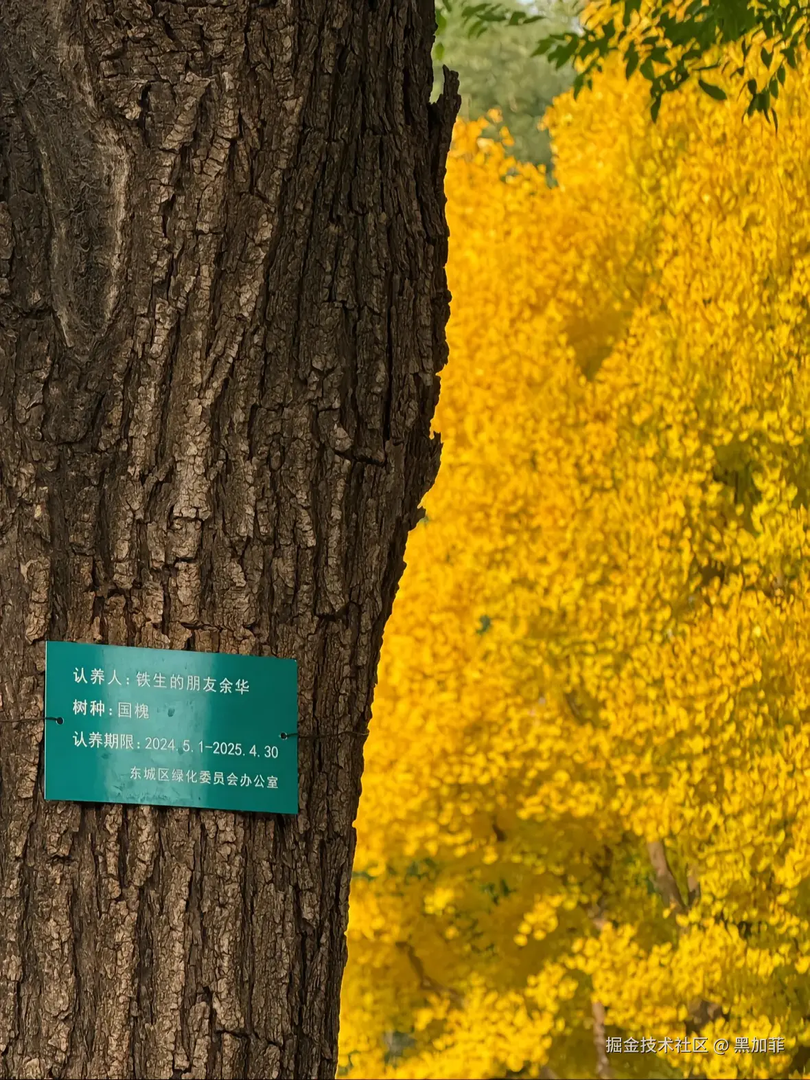 黑加菲于2024-11-30 10:36发布的图片