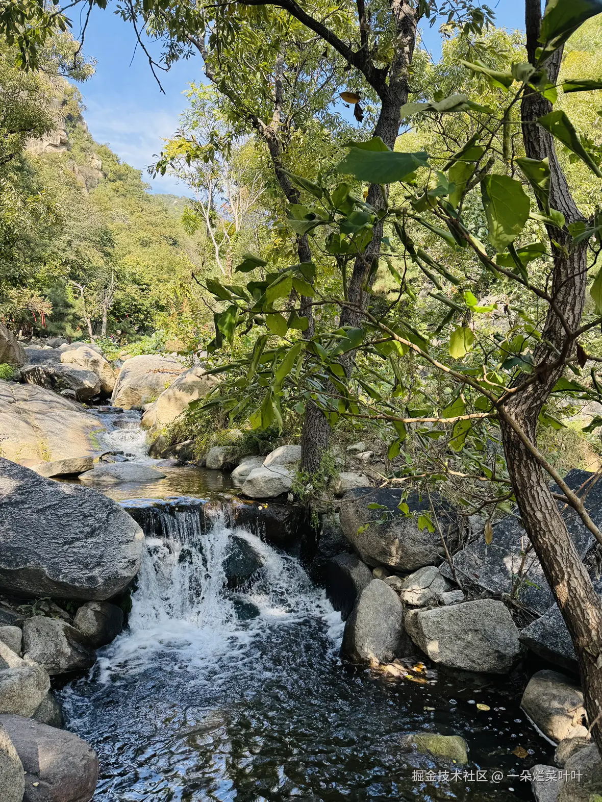 一朵烂菜叶叶于2025-10-20 10:23发布的图片