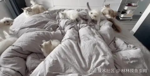 林林摸鱼专用于2024-11-13 09:18发布的图片