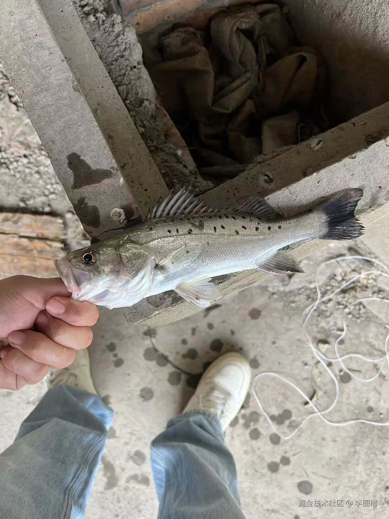 李图南于2025-10-15 15:20发布的图片