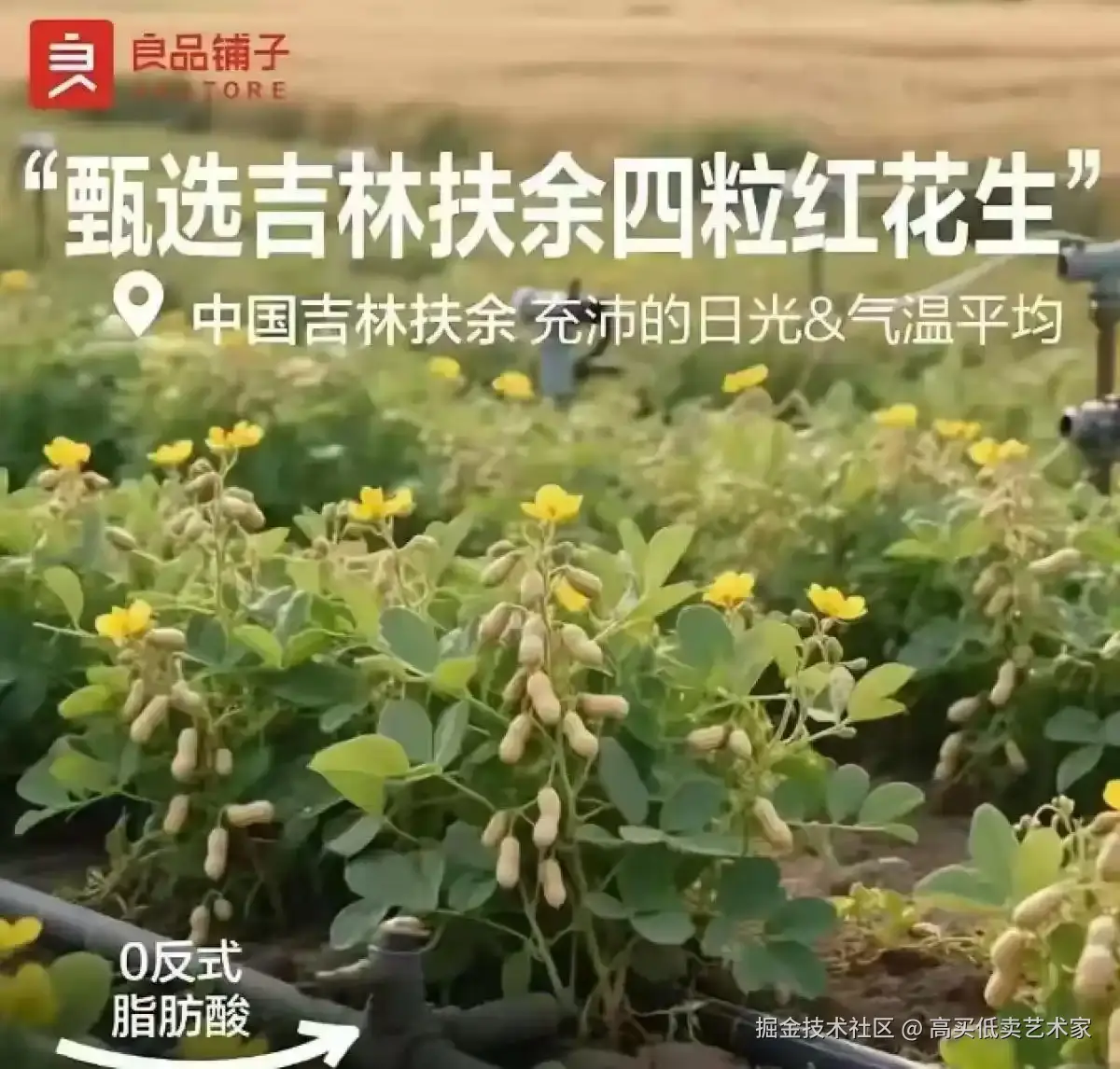 高买低卖艺术家于2025-08-29 10:51发布的图片