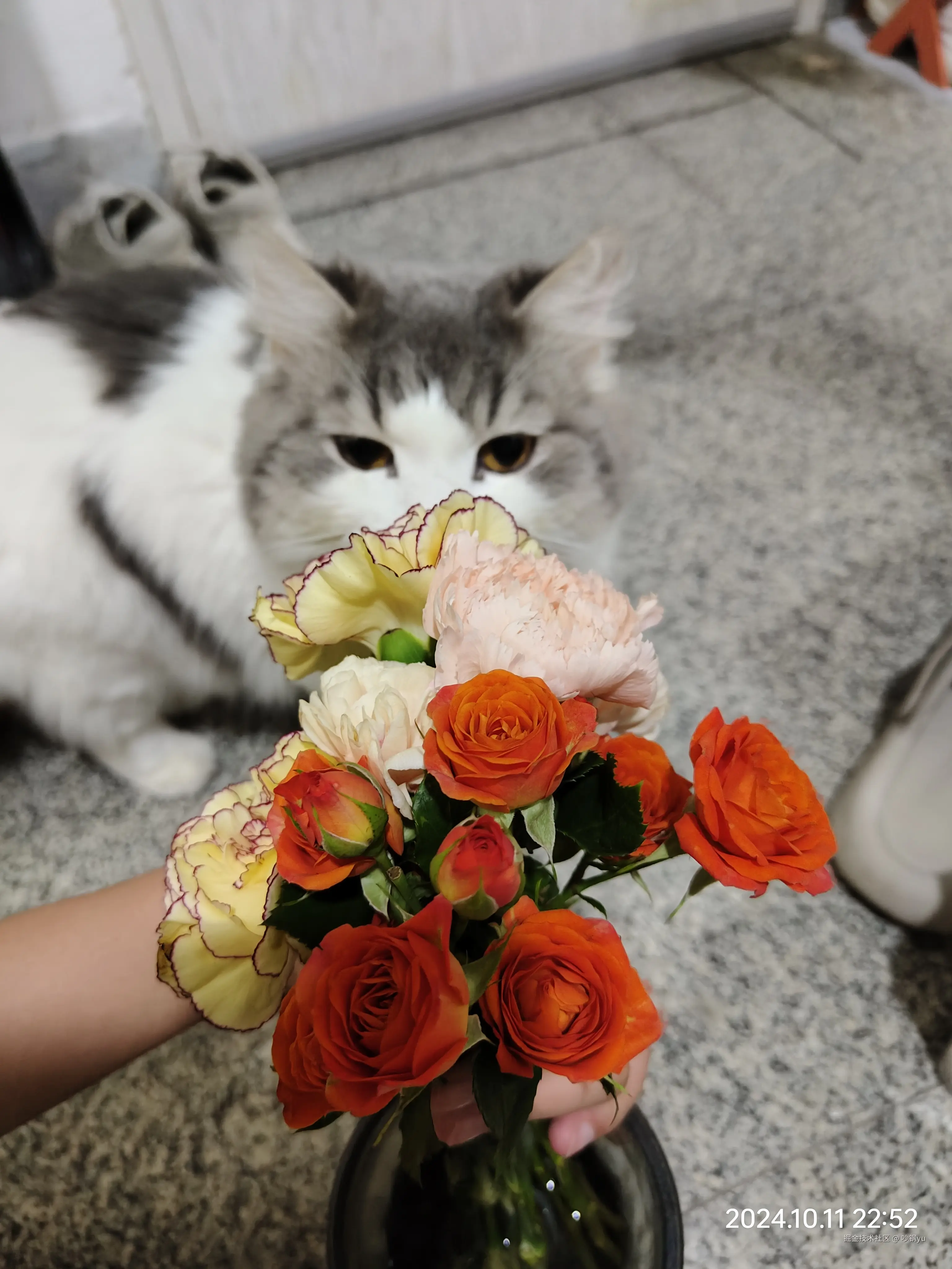 吵钢yu于2024-10-16 12:33发布的图片