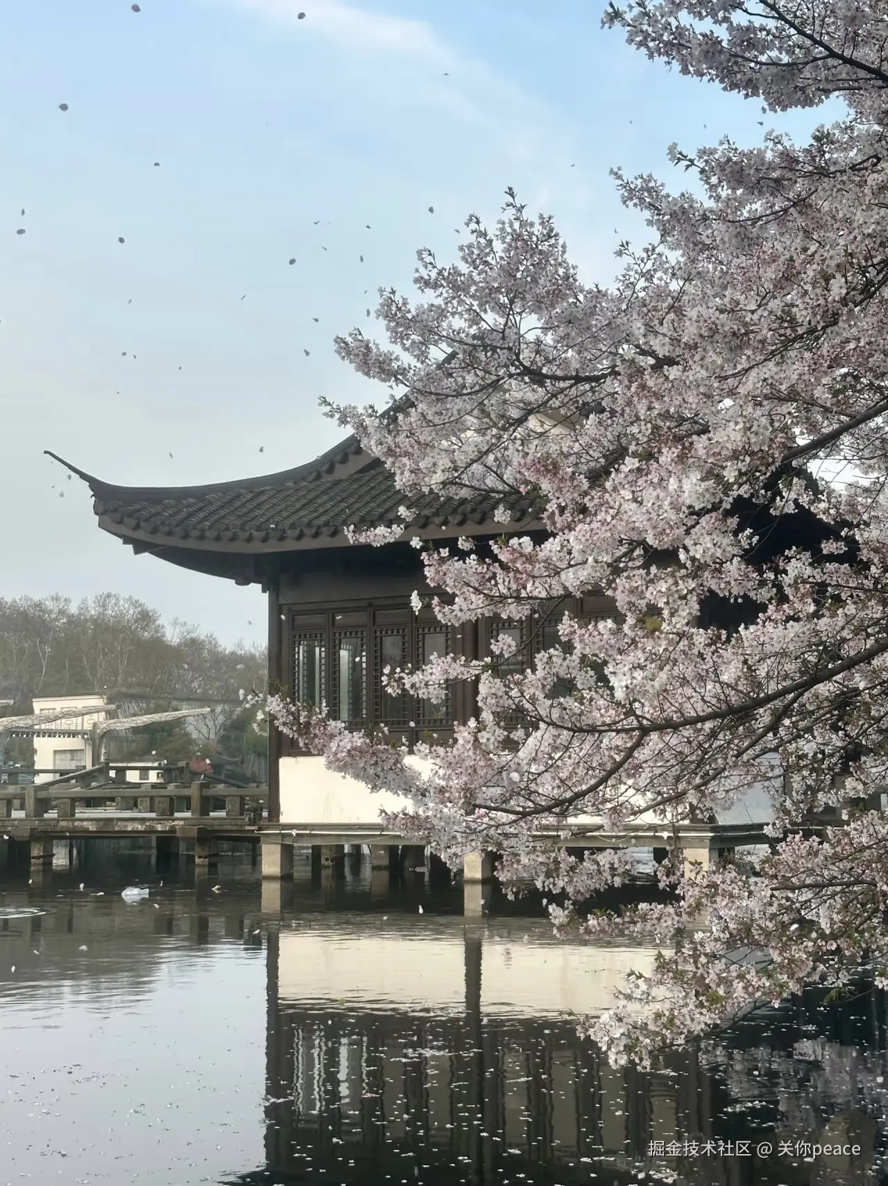 关你peace于2026-04-07 10:15发布的图片