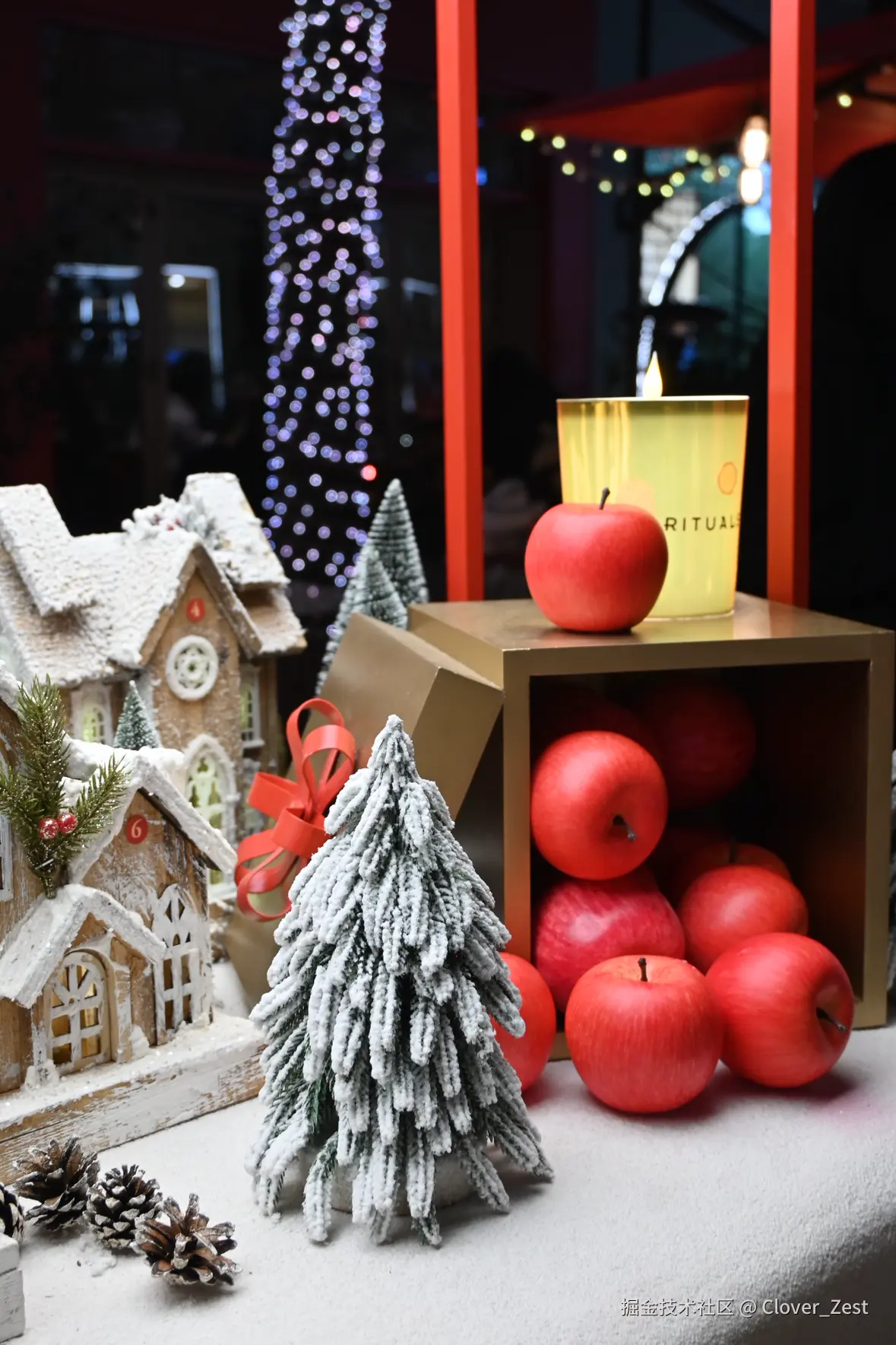 Clover_Zest于2025-12-19 15:16发布的图片