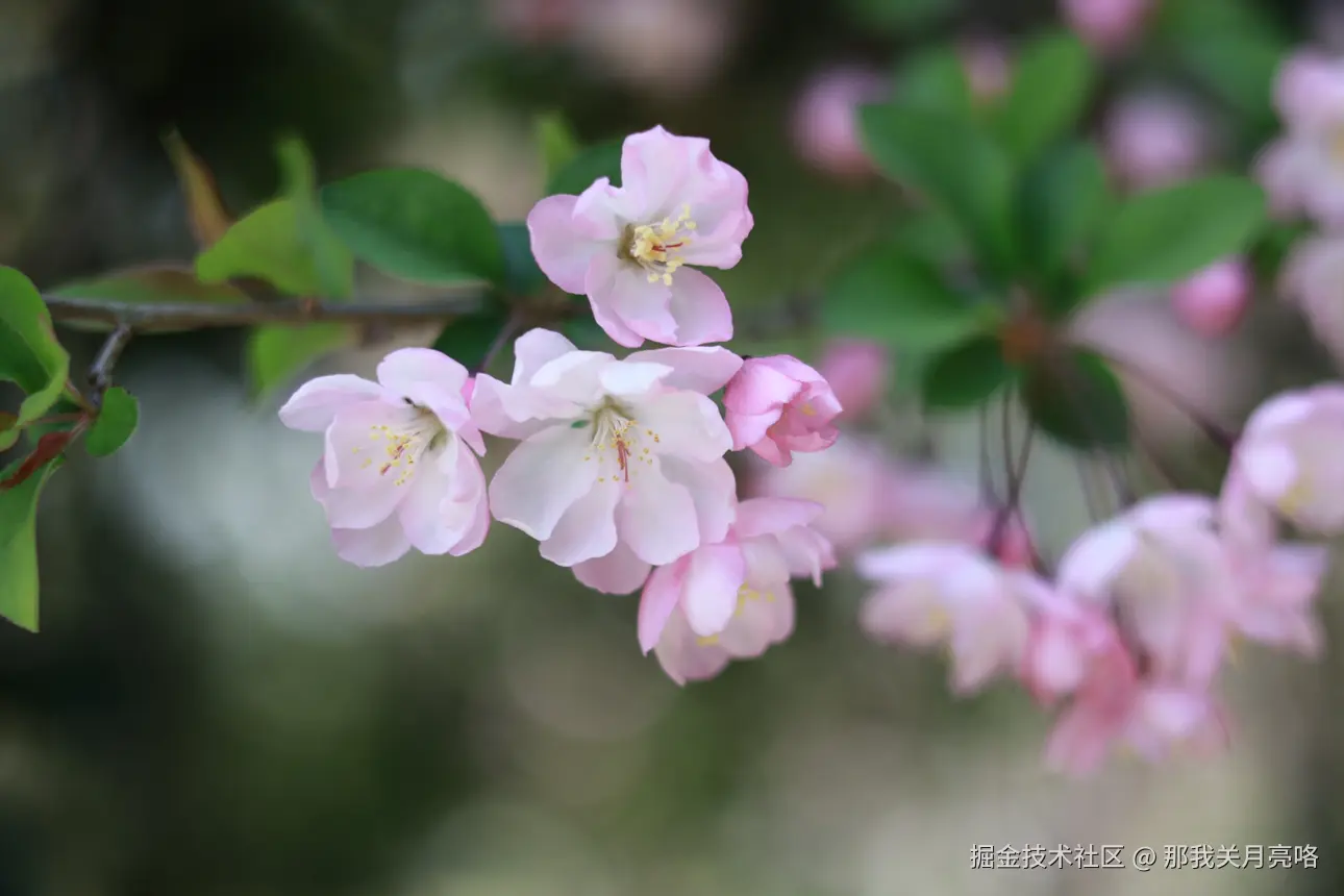 那我关月亮咯于2025-03-24 09:35发布的图片