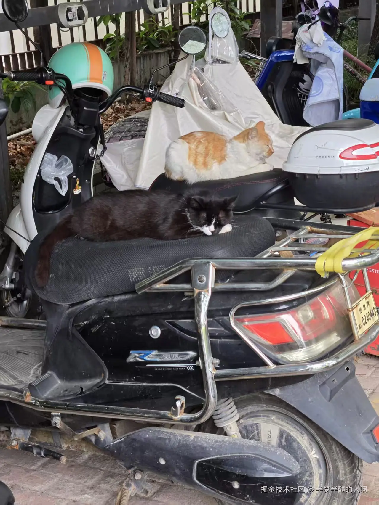 半梦半醒的人啊于2025-10-27 11:28发布的图片