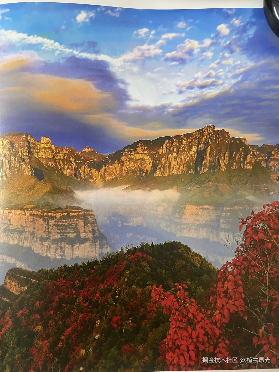 植物昂光于2026-04-10 21:41发布的图片