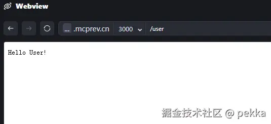 pekka于2024-10-26 15:48发布的图片