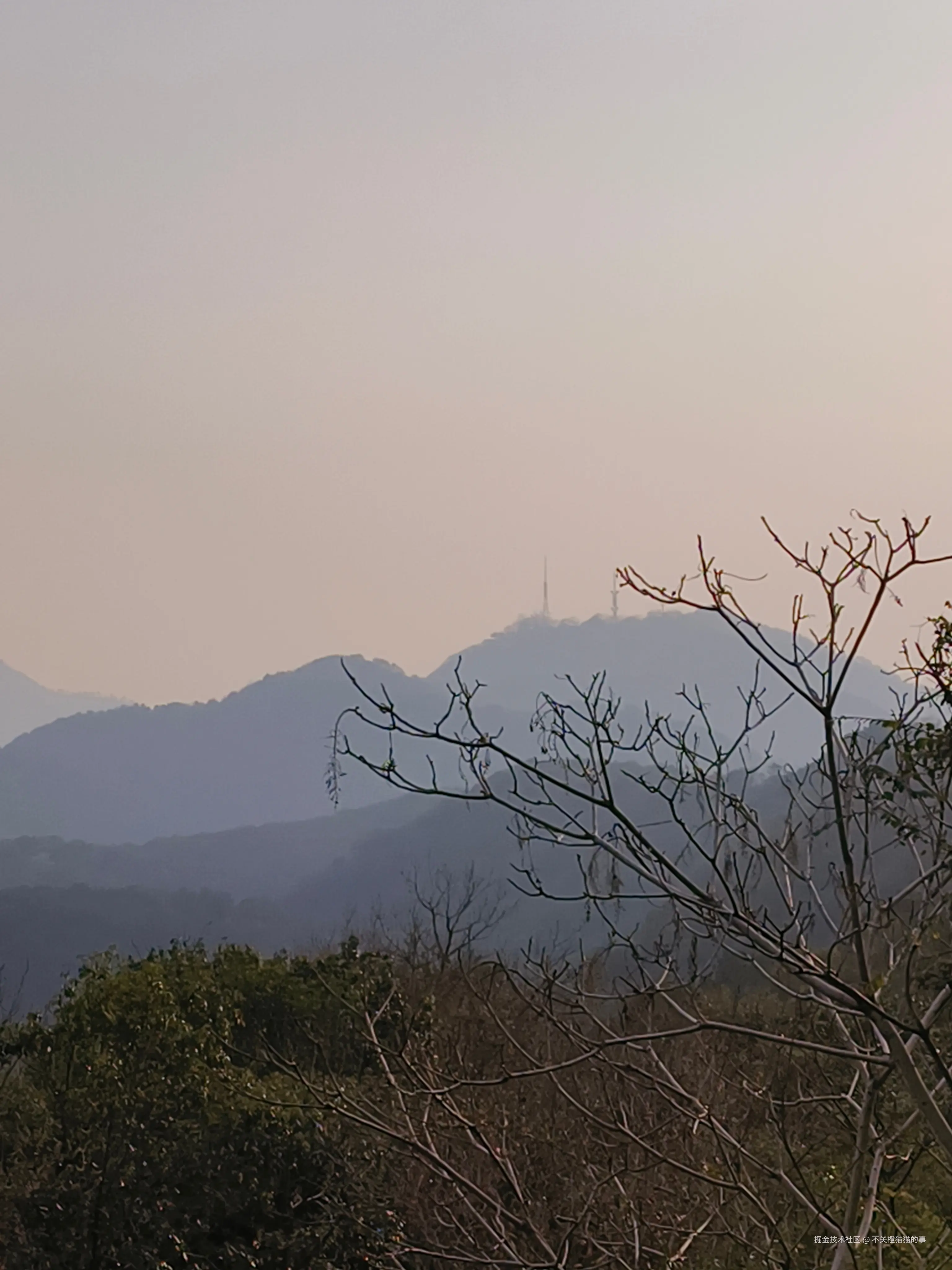 不关橙猫猫的事于2026-03-12 09:29发布的图片