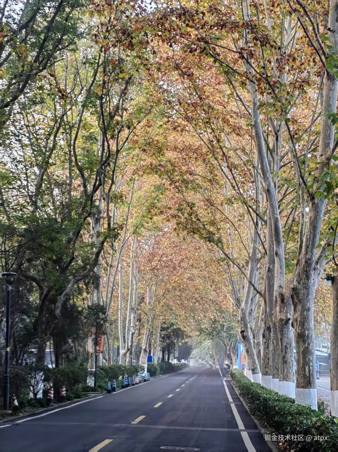 atpx于2025-11-17 02:03发布的图片