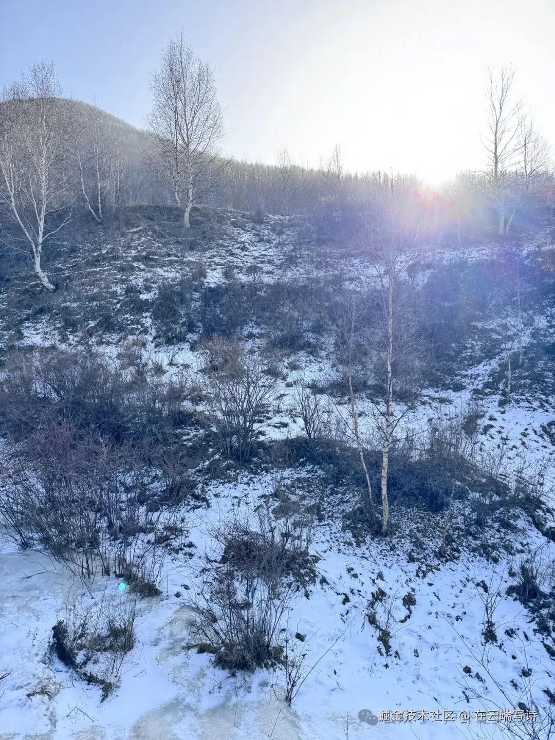 在云端写诗于2025-12-01 11:16发布的图片