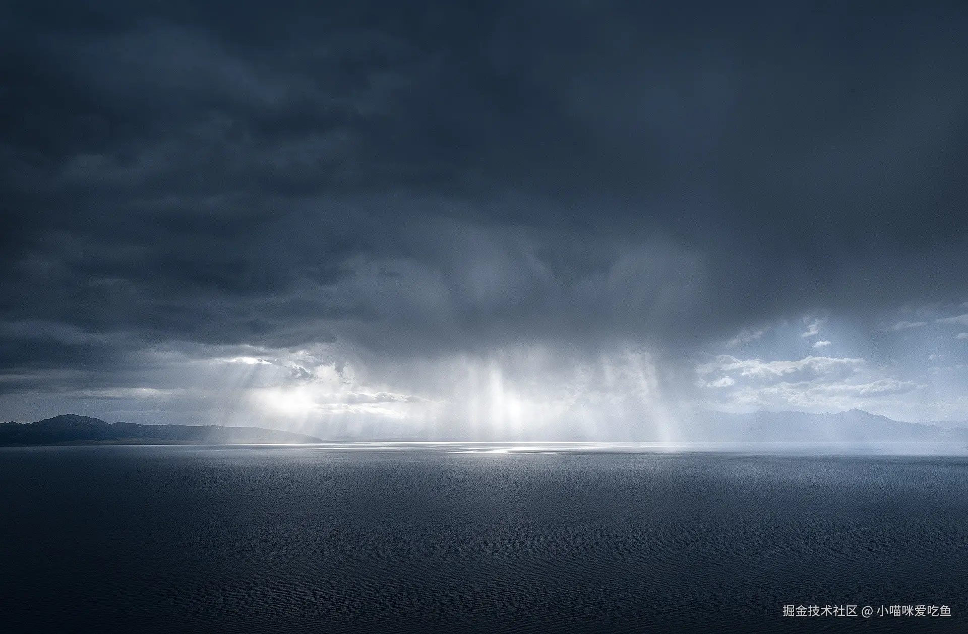 小喵咪爱吃鱼于2024-08-25 08:31发布的图片