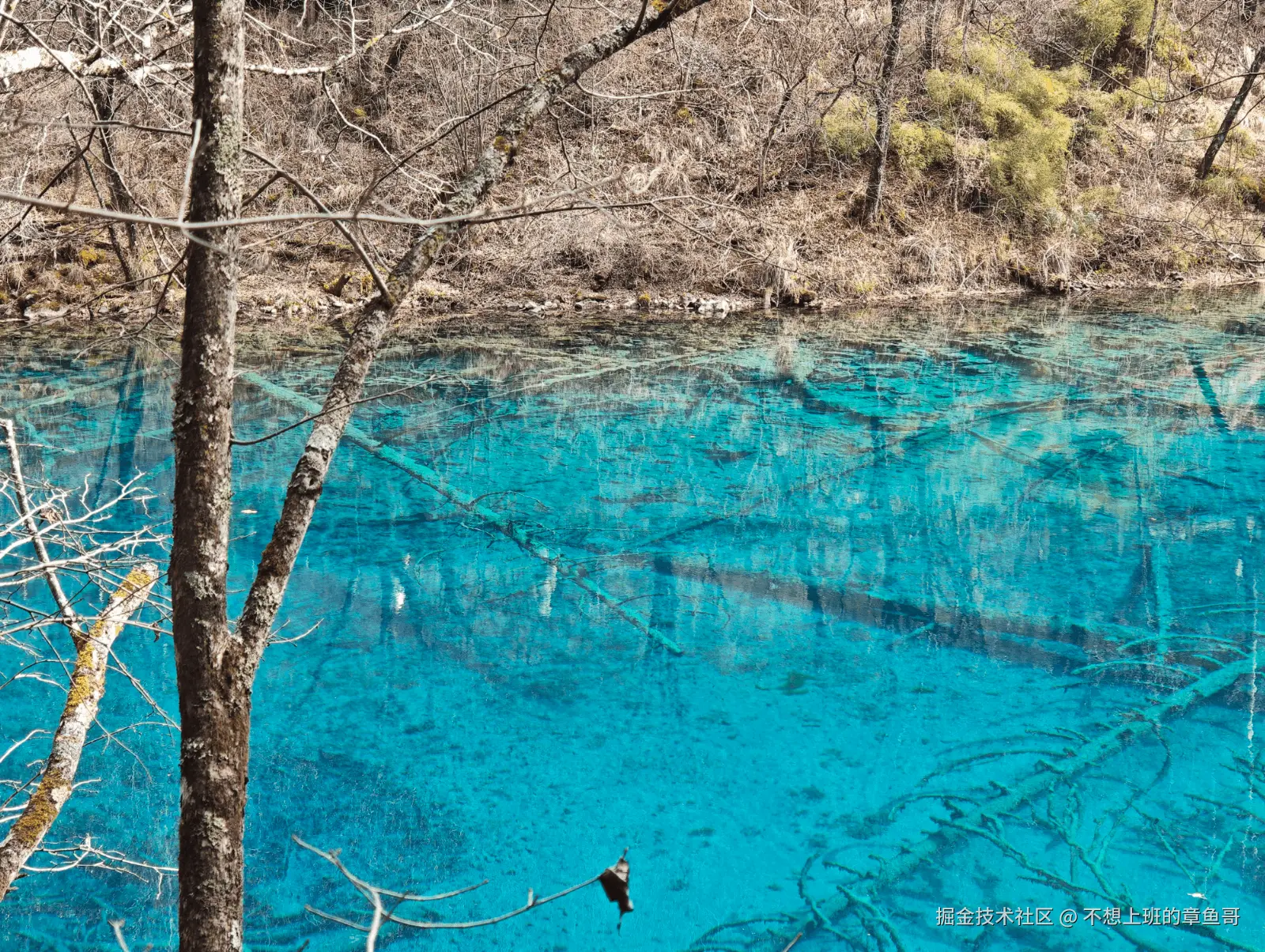 不想上班的章鱼哥于2025-12-09 17:55发布的图片