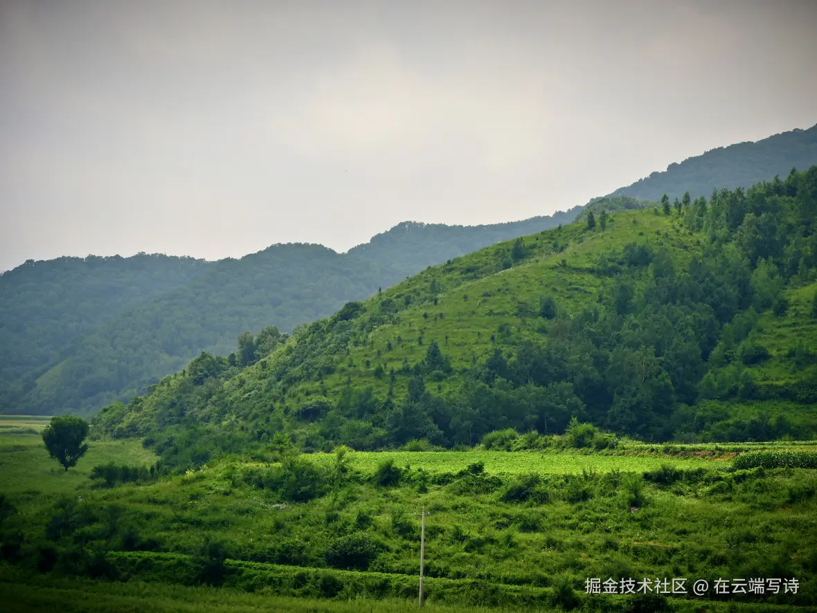 在云端写诗于2025-08-04 10:49发布的图片