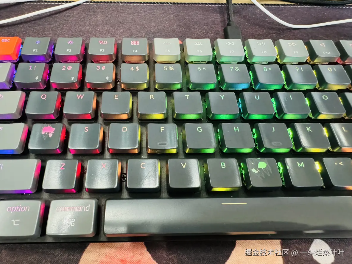 一朵烂菜叶叶于2024-07-30 15:20发布的图片