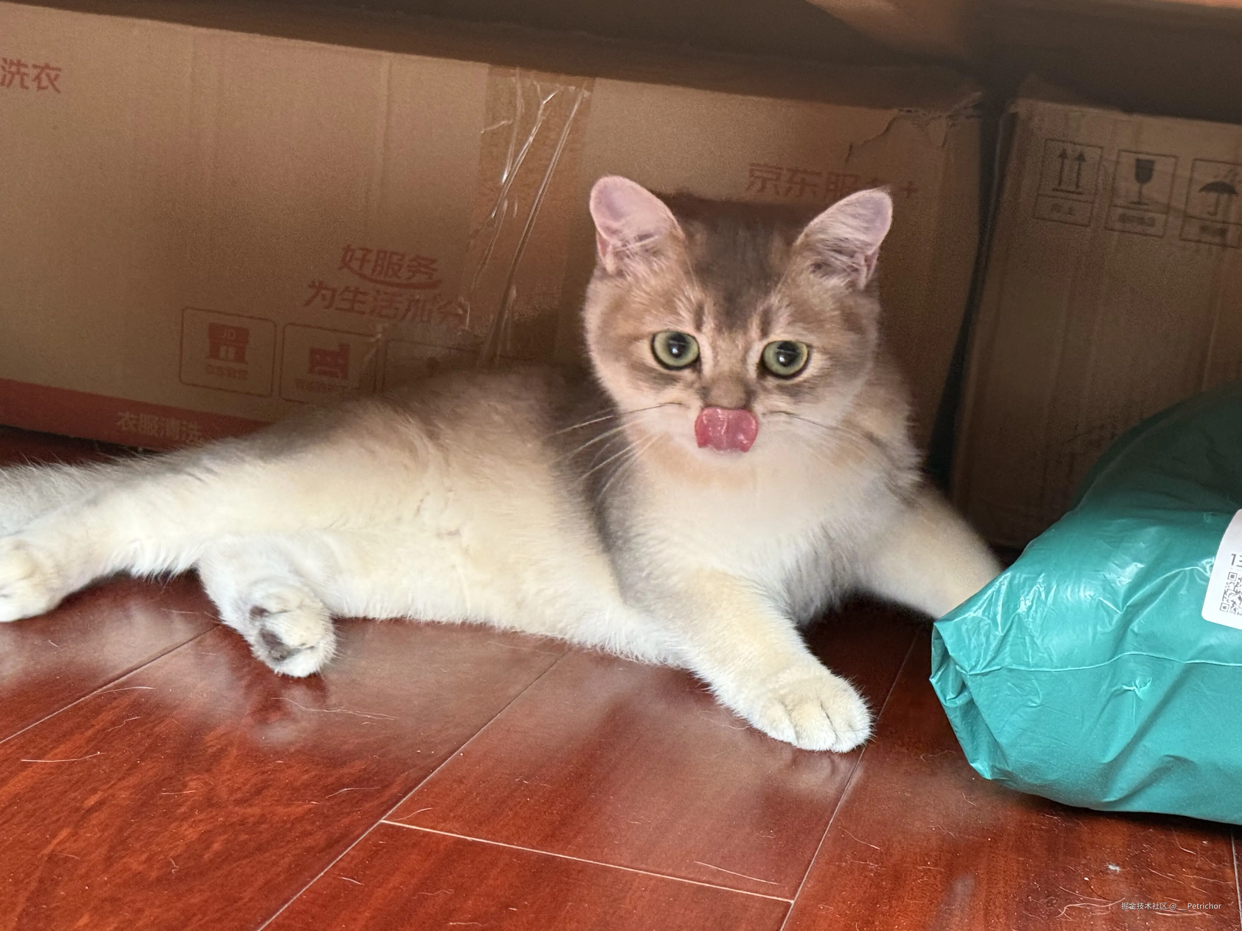 __Petrichor于2026-01-23 14:45发布的图片