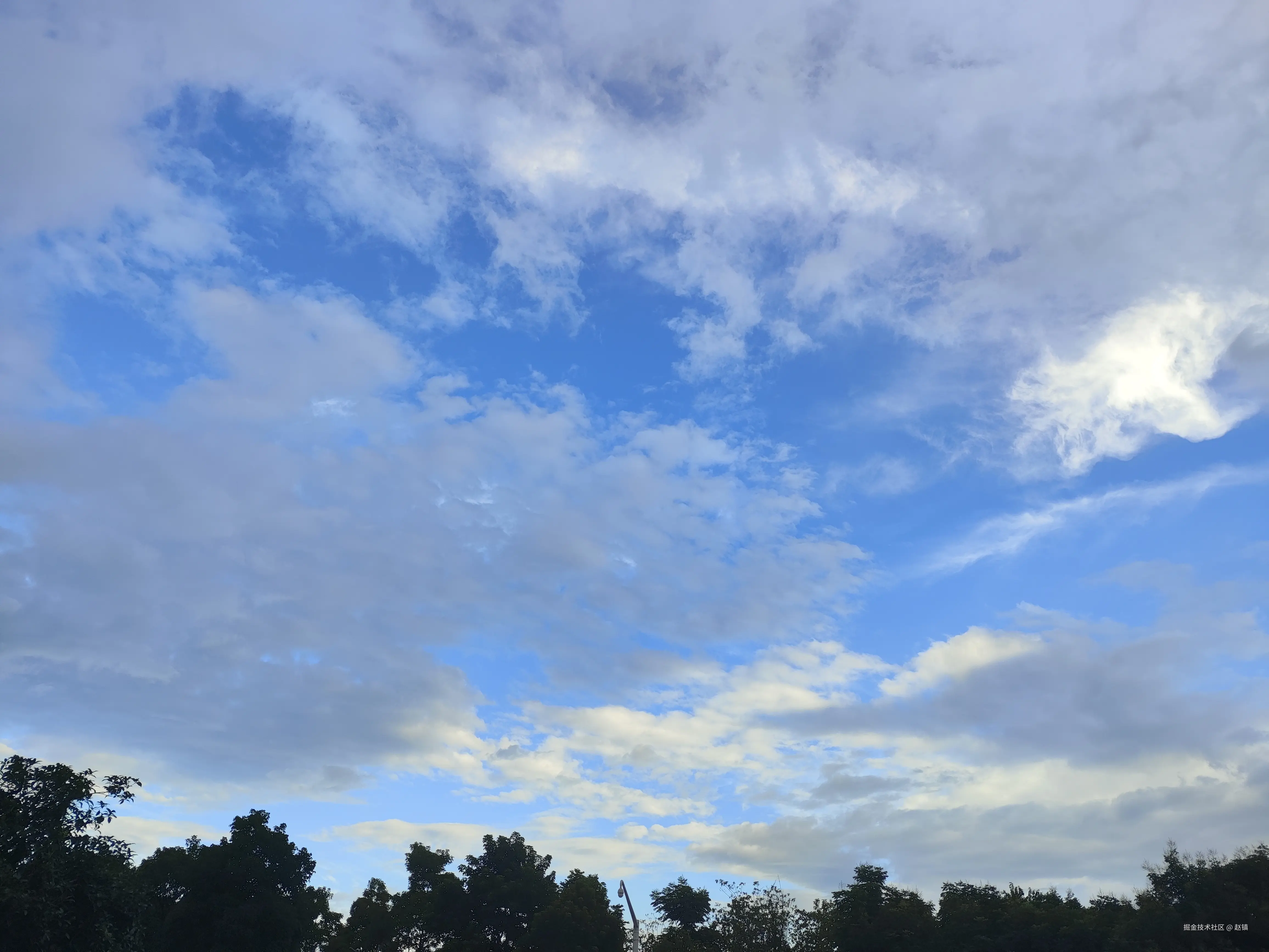 赵镇于2024-07-27 15:48发布的图片