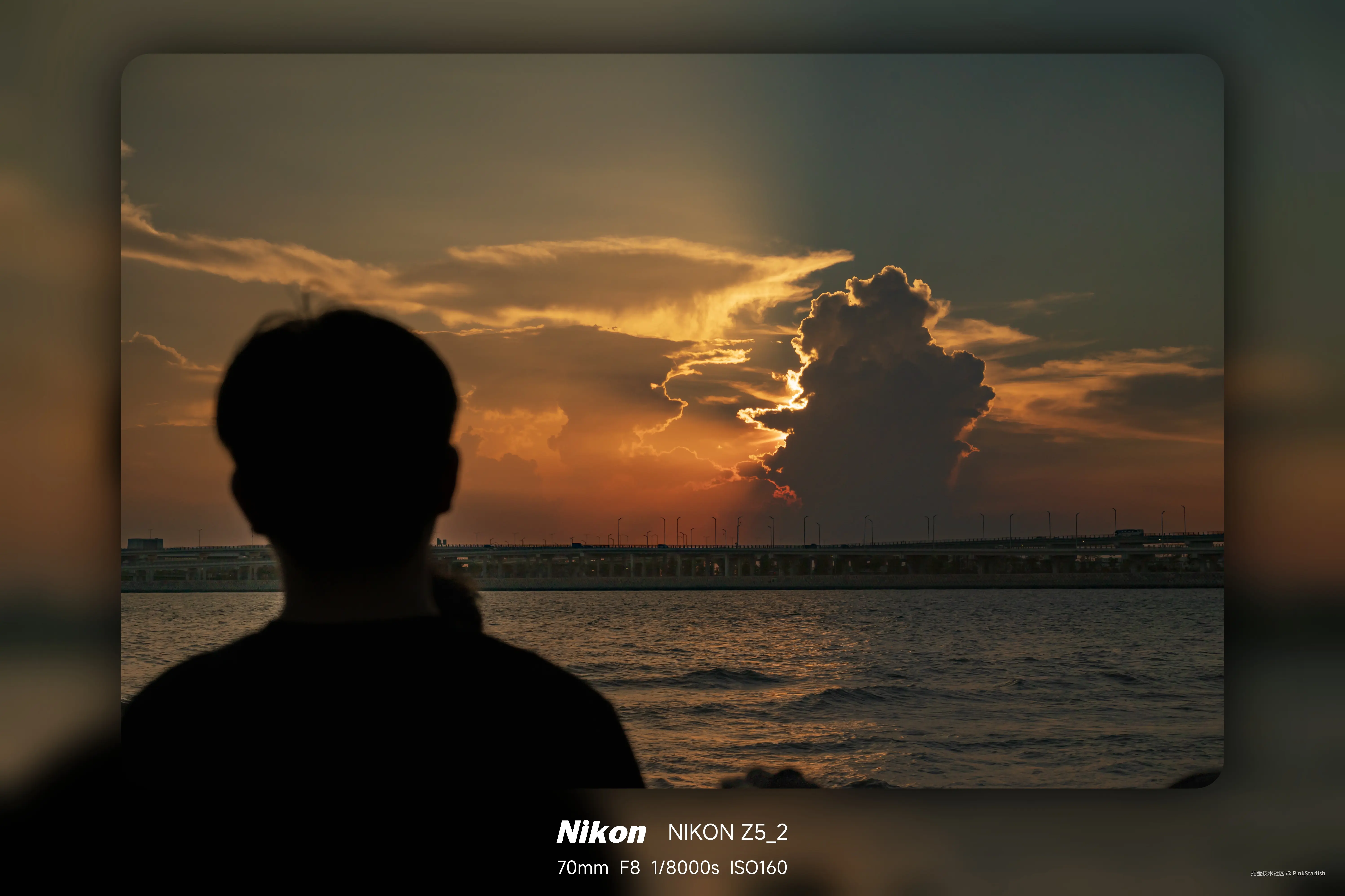 PinkStarfish于2025-06-10 10:49发布的图片