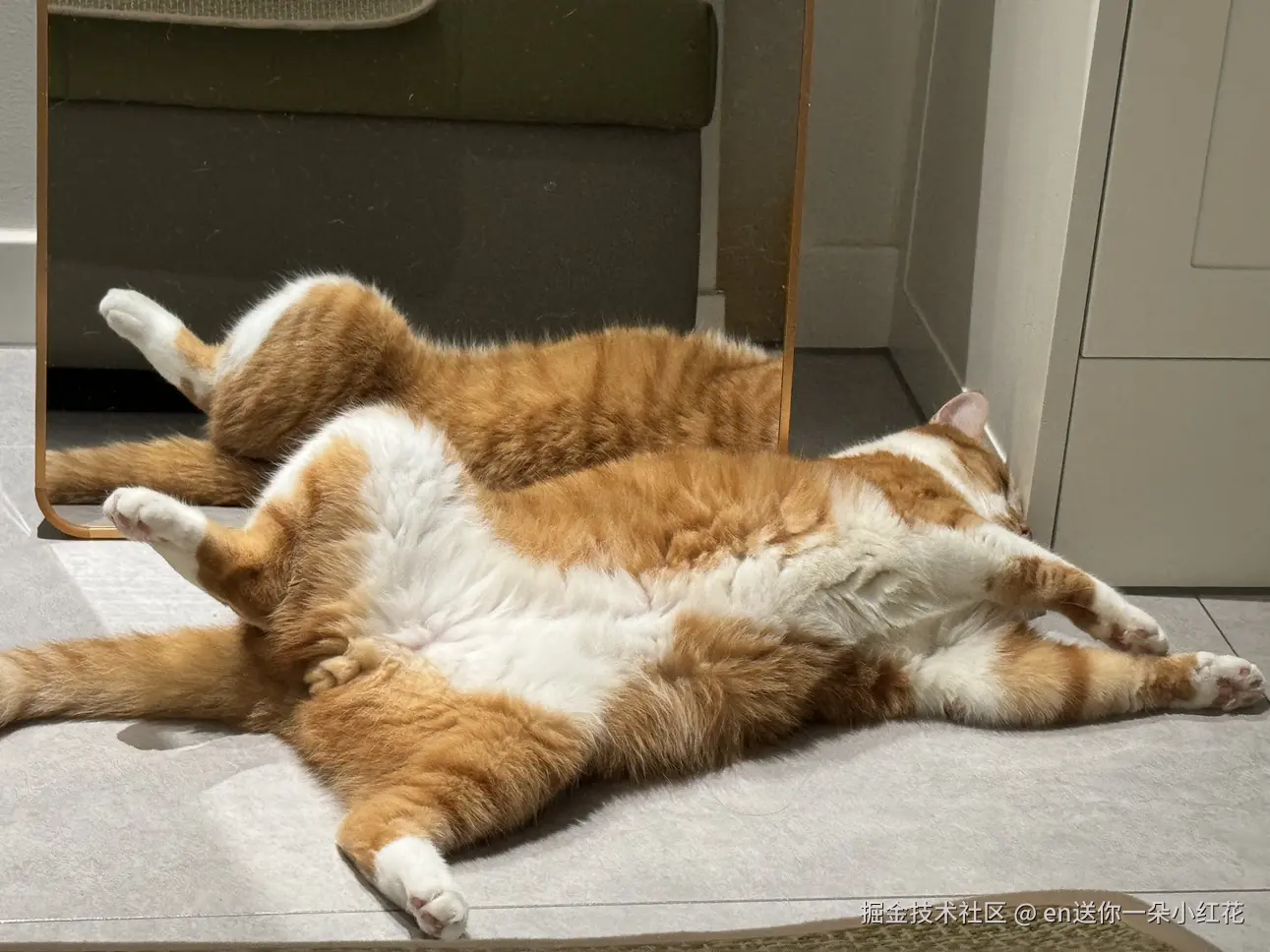 en送你一朵小红花于2024-09-25 14:02发布的图片