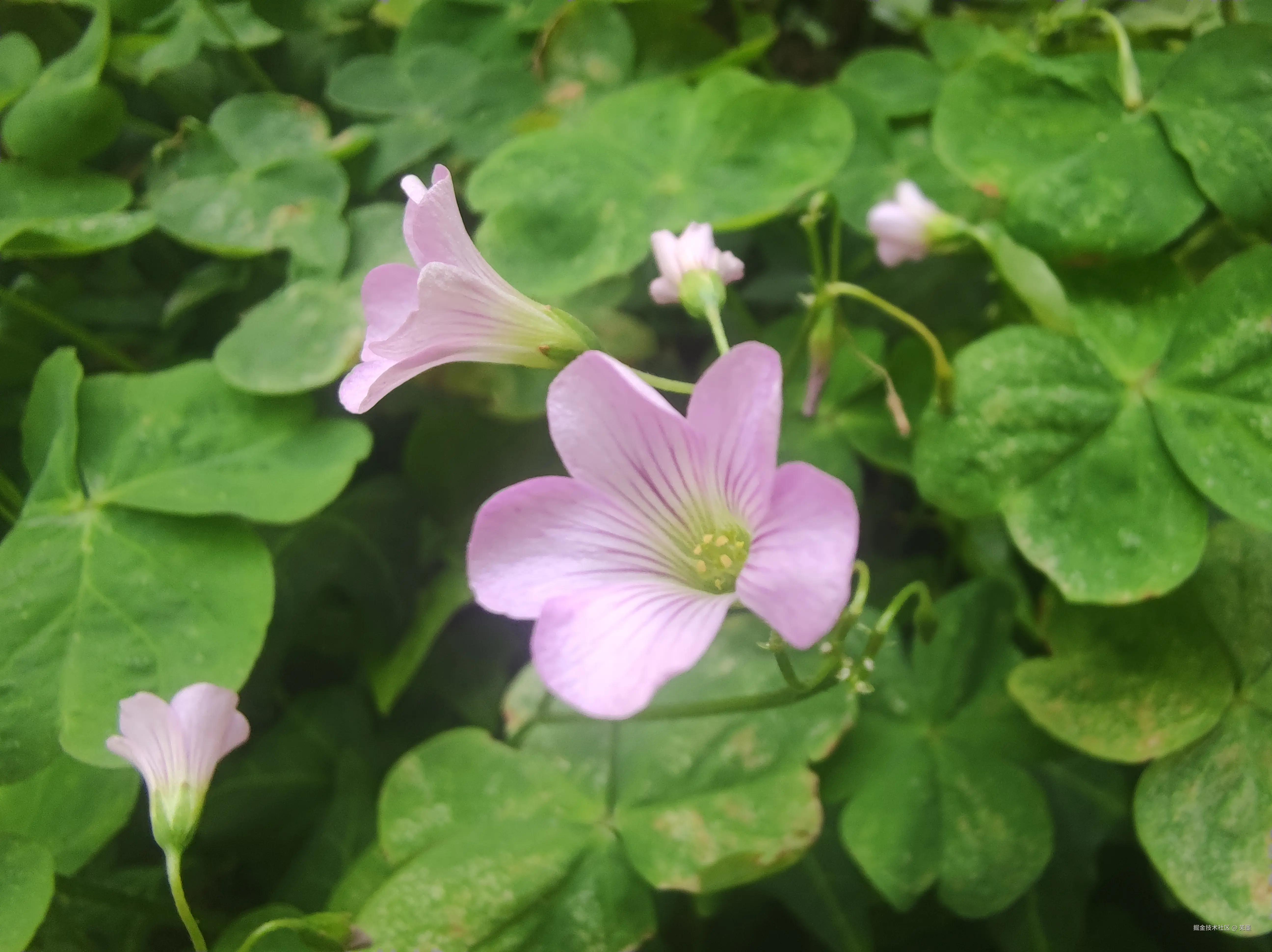 芜墨于2025-08-04 16:23发布的图片