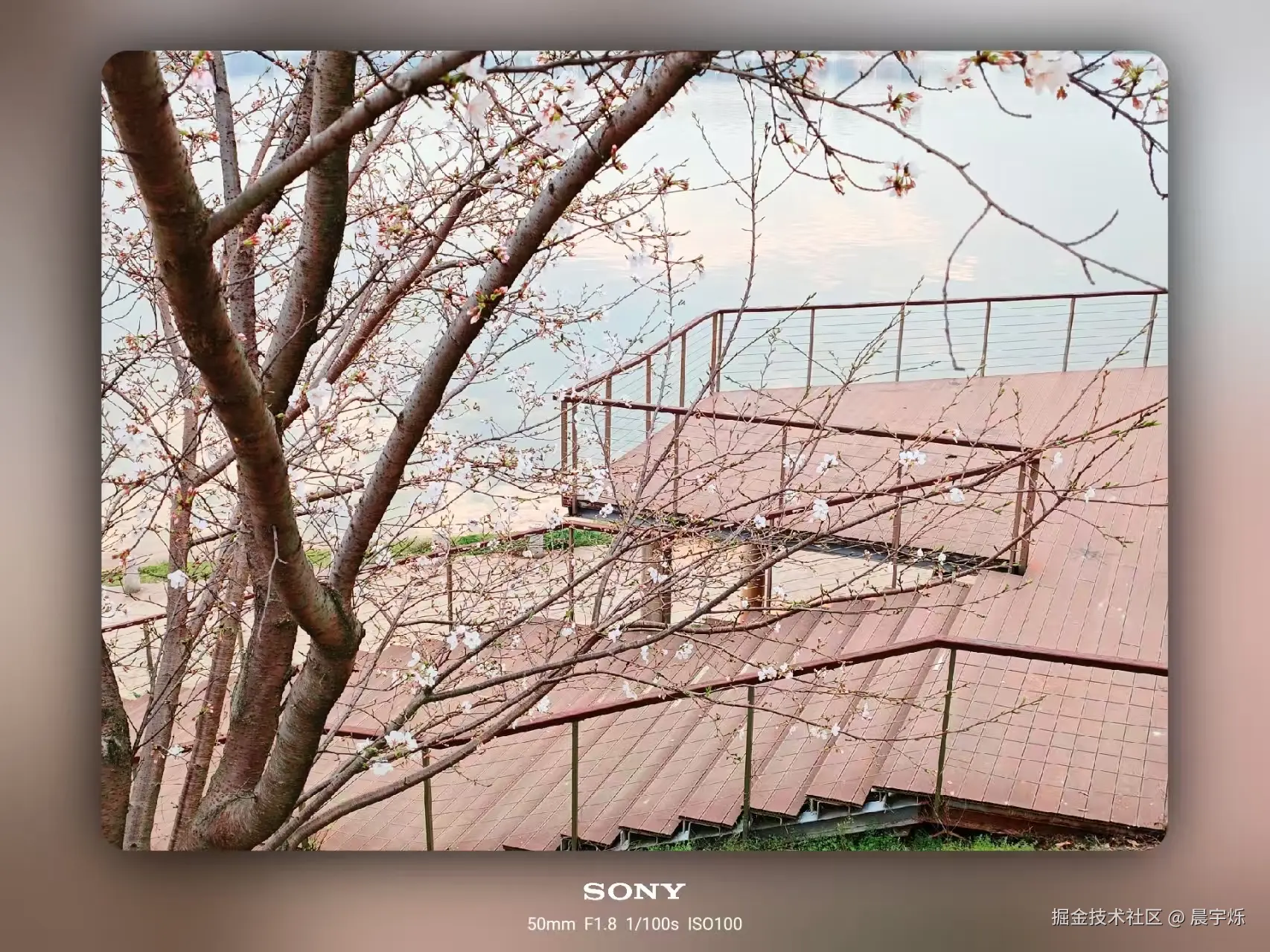 晨宇烁于2025-03-26 09:43发布的图片