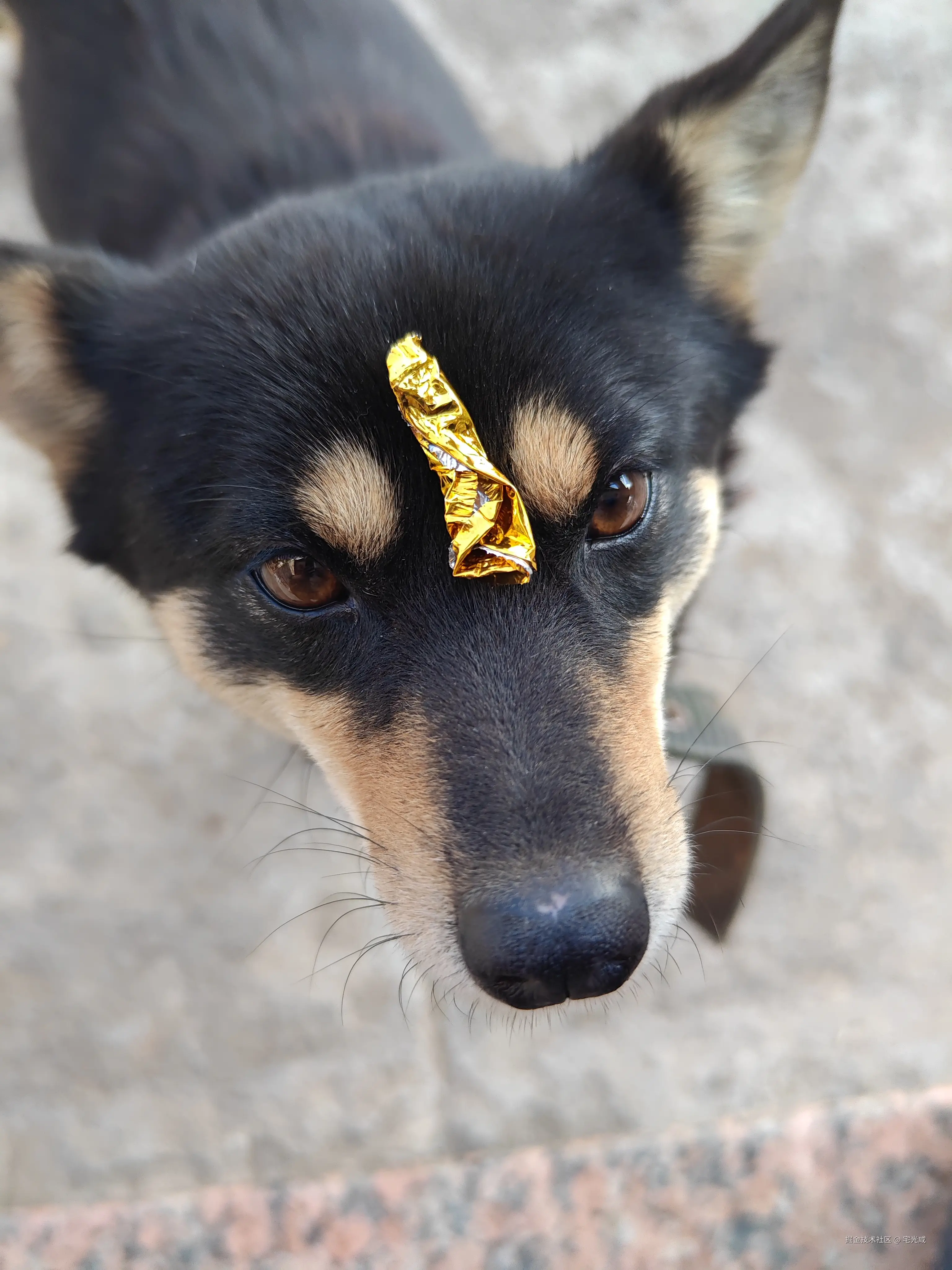 宅光咸于2026-02-25 09:54发布的图片