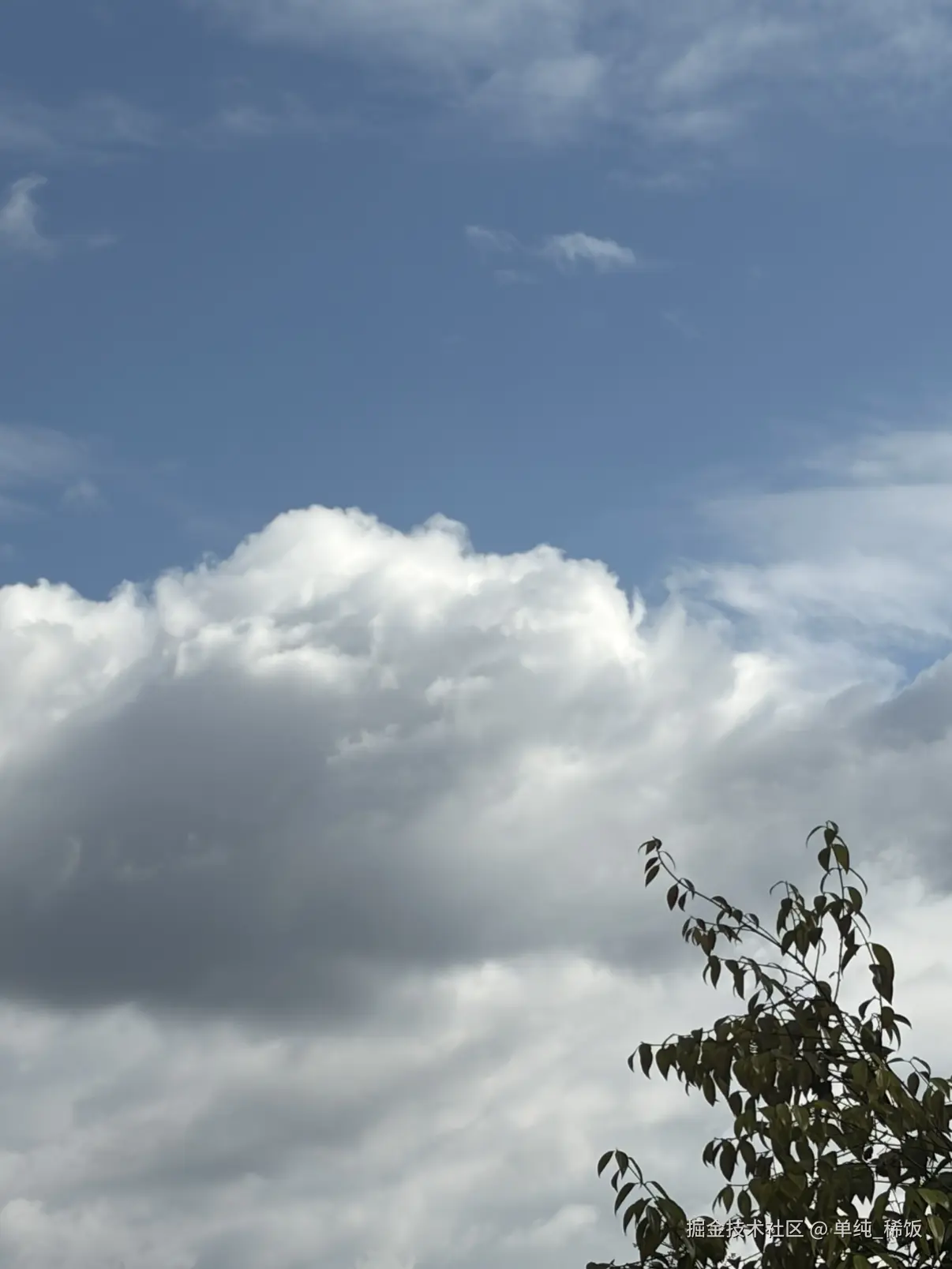 单纯_稀饭于2026-03-17 16:12发布的图片