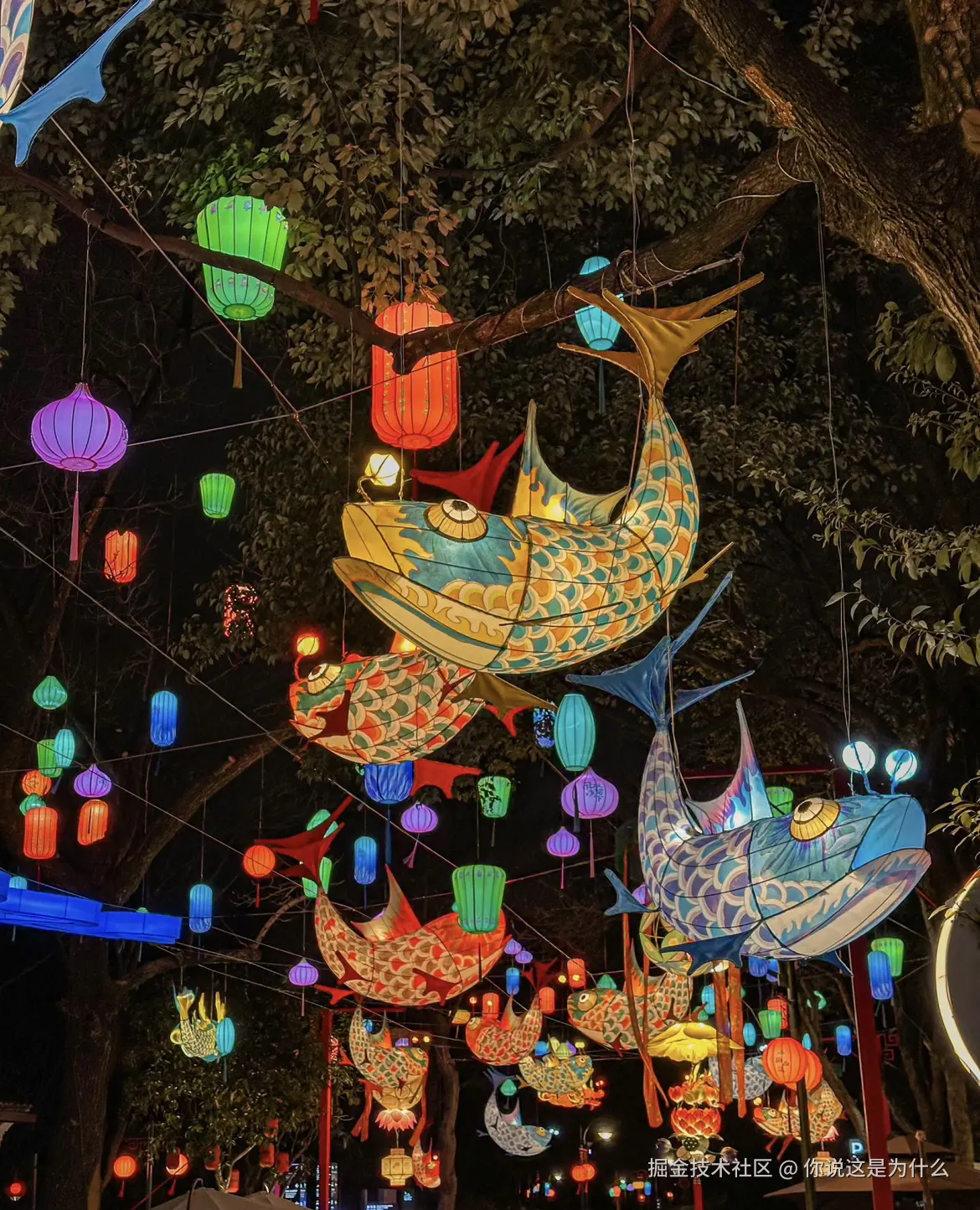 你说这是为什么于2026-02-19 20:04发布的图片