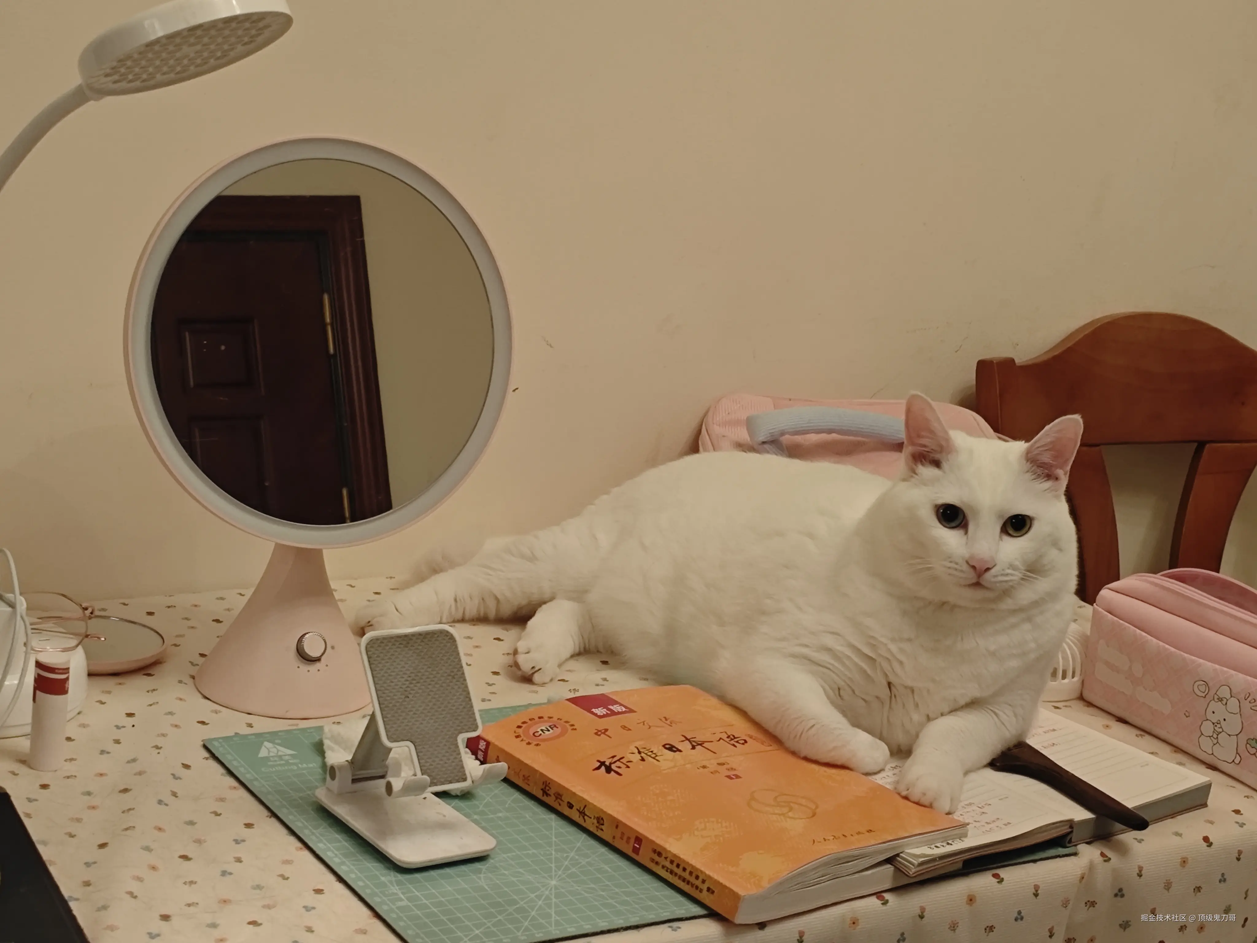 顶级鬼刀哥于2025-09-11 10:22发布的图片