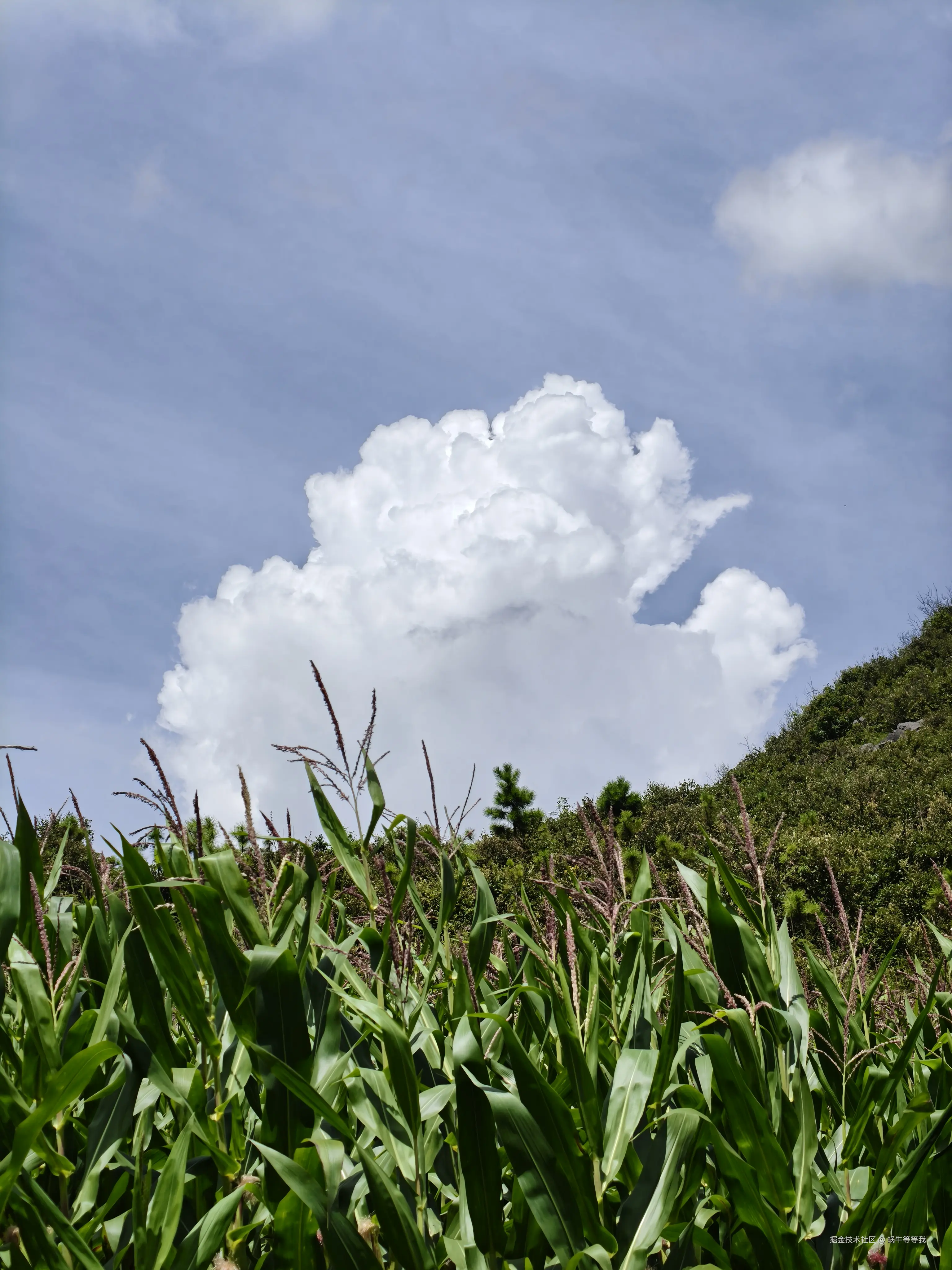 蜗牛等等我于2025-08-25 09:17发布的图片