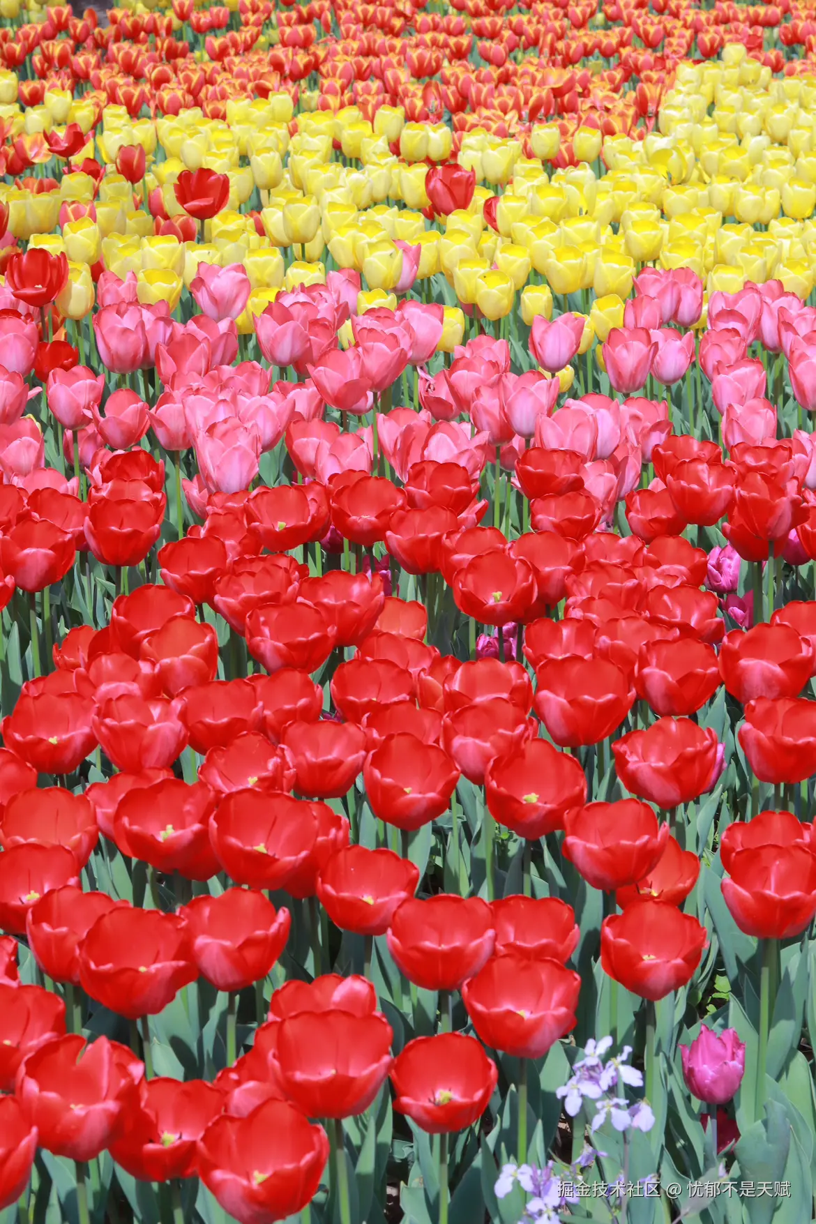 忧郁不是天赋于2025-03-11 15:47发布的图片