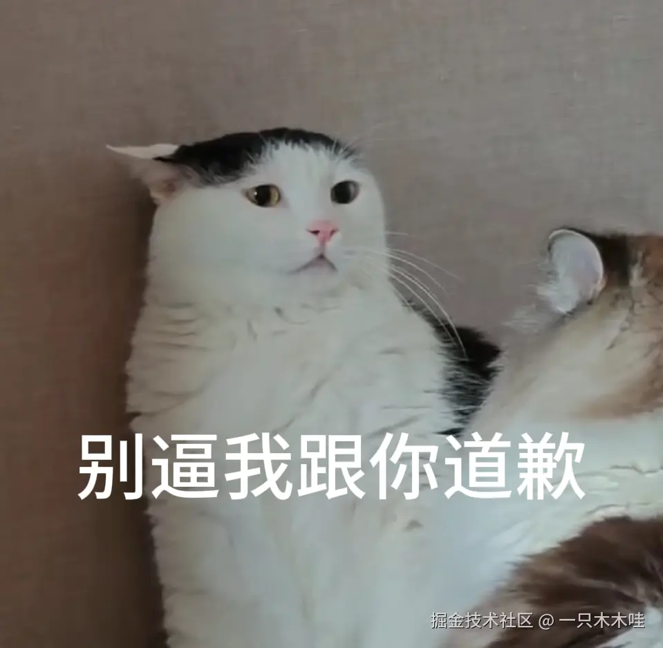 一只木木哇于2026-08-17 05:43发布的图片