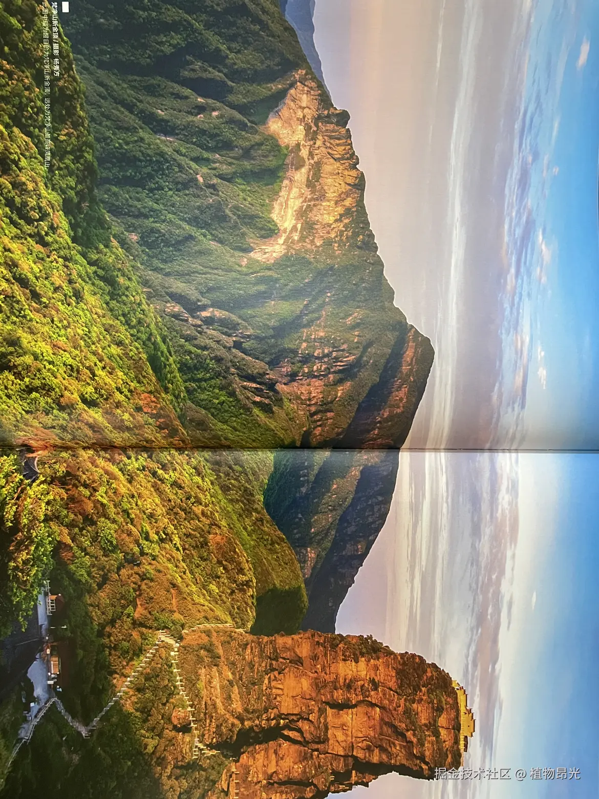 植物昂光于2026-04-06 16:14发布的图片