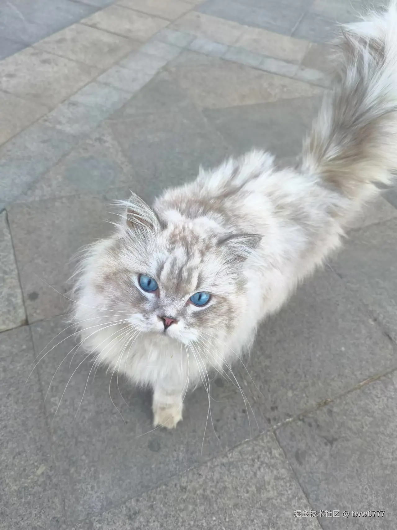 tww0777于2025-01-06 11:29发布的图片