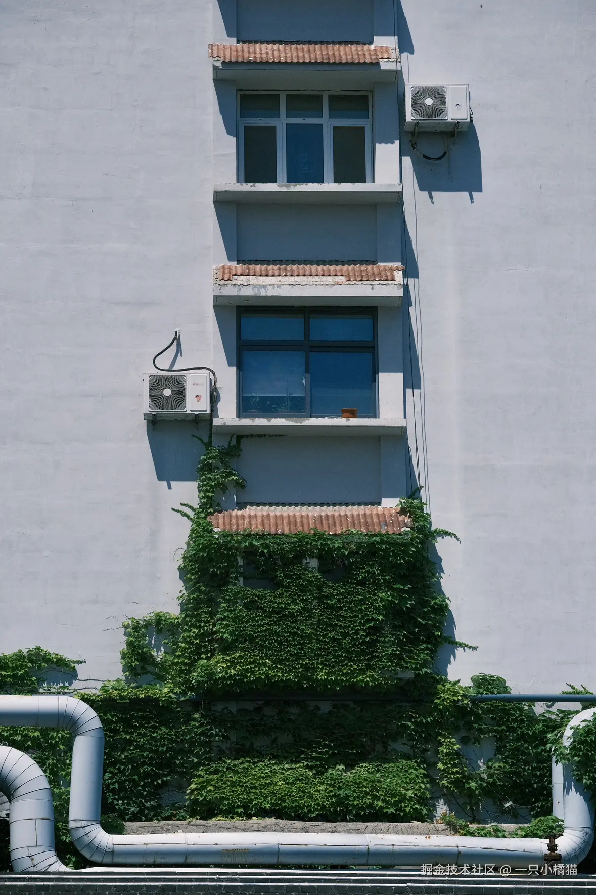 一只小橘猫于2025-06-22 13:16发布的图片