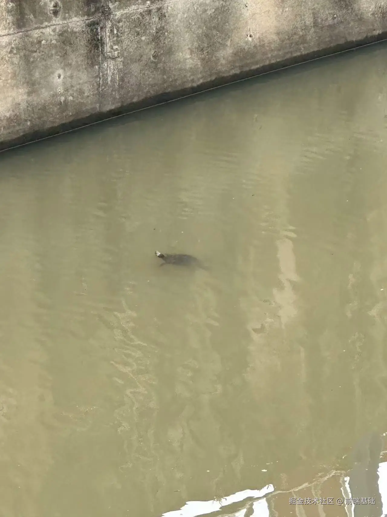 前端基础于2025-06-03 10:20发布的图片