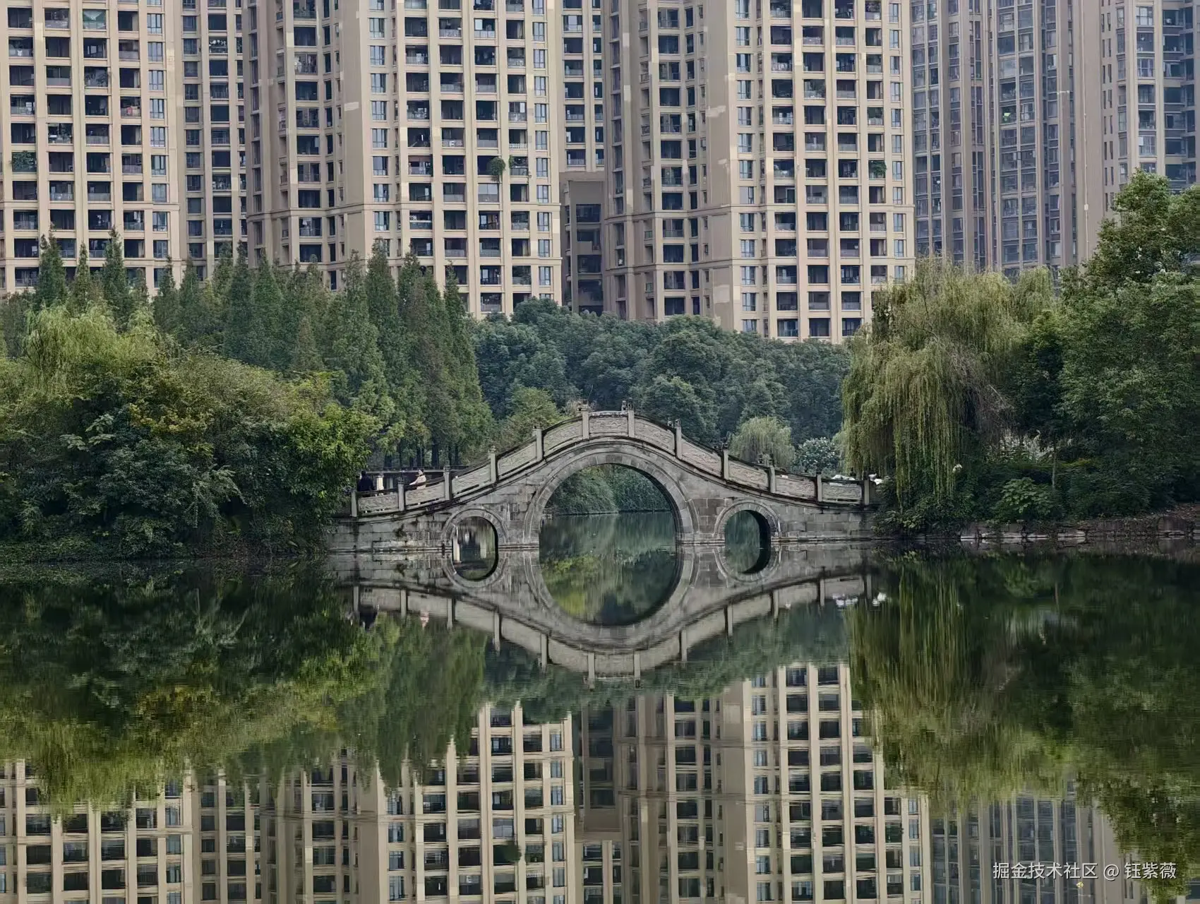 钰紫薇于2025-11-03 09:30发布的图片