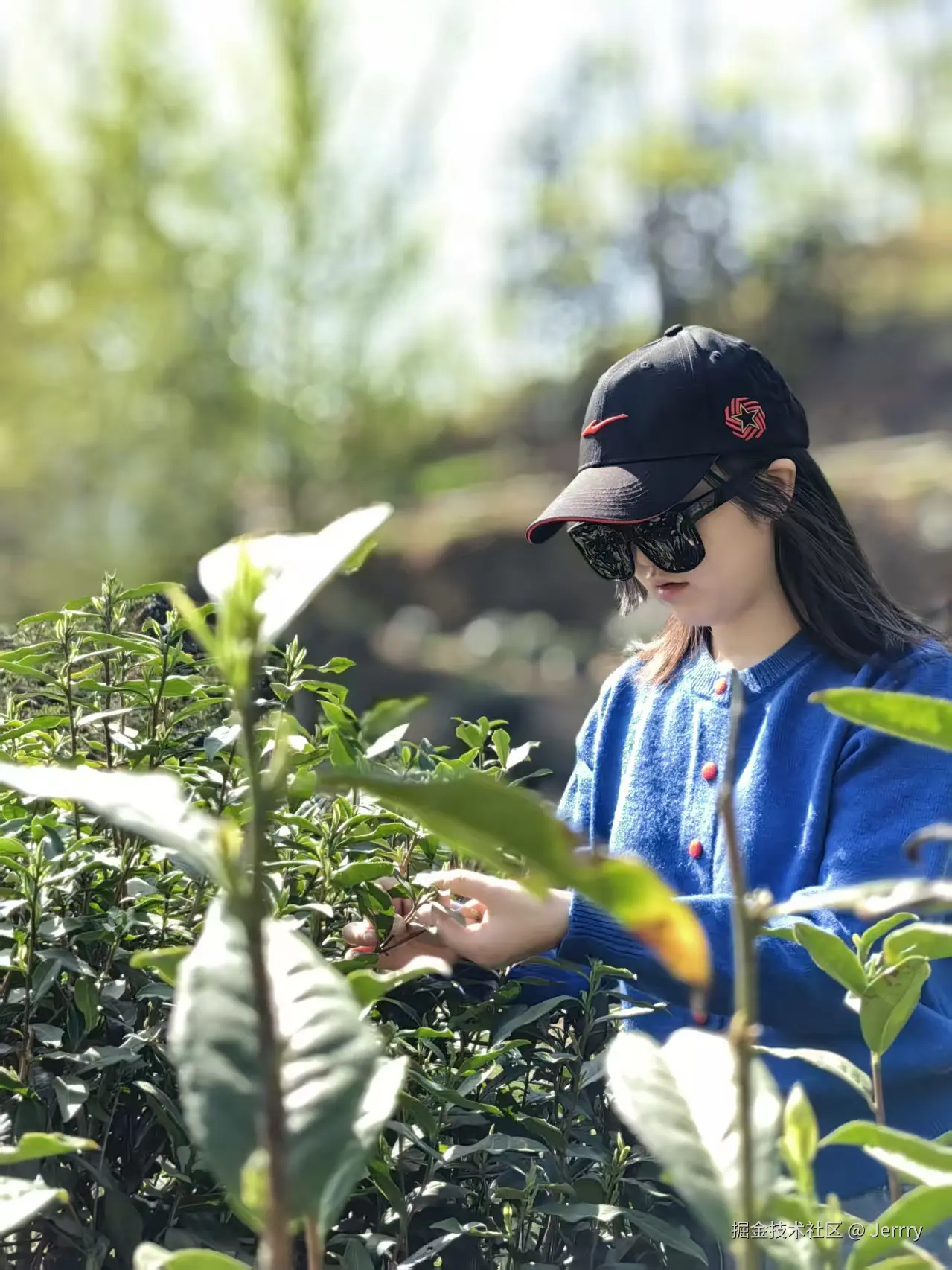 Jerrry于2026-04-09 10:58发布的图片