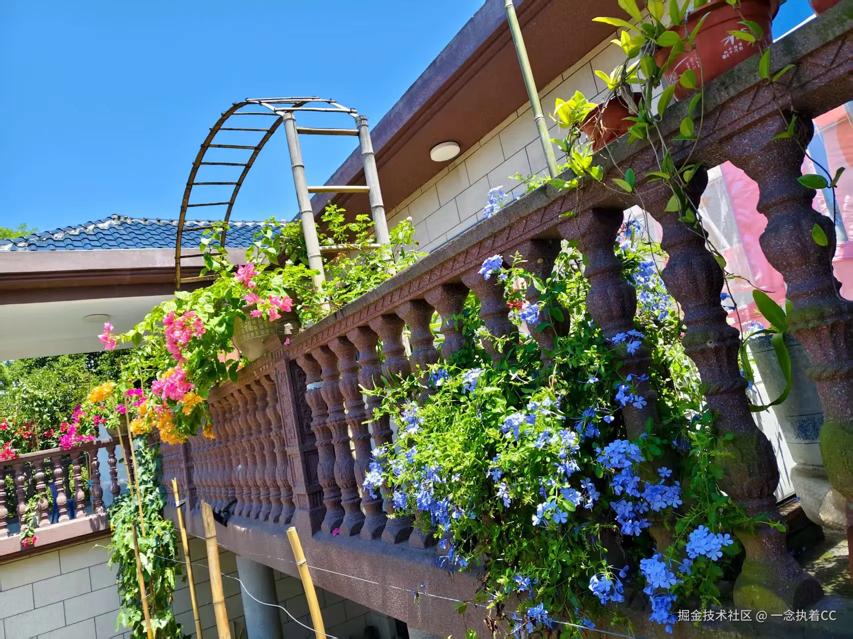 一念执着CC于2025-11-28 14:25发布的图片