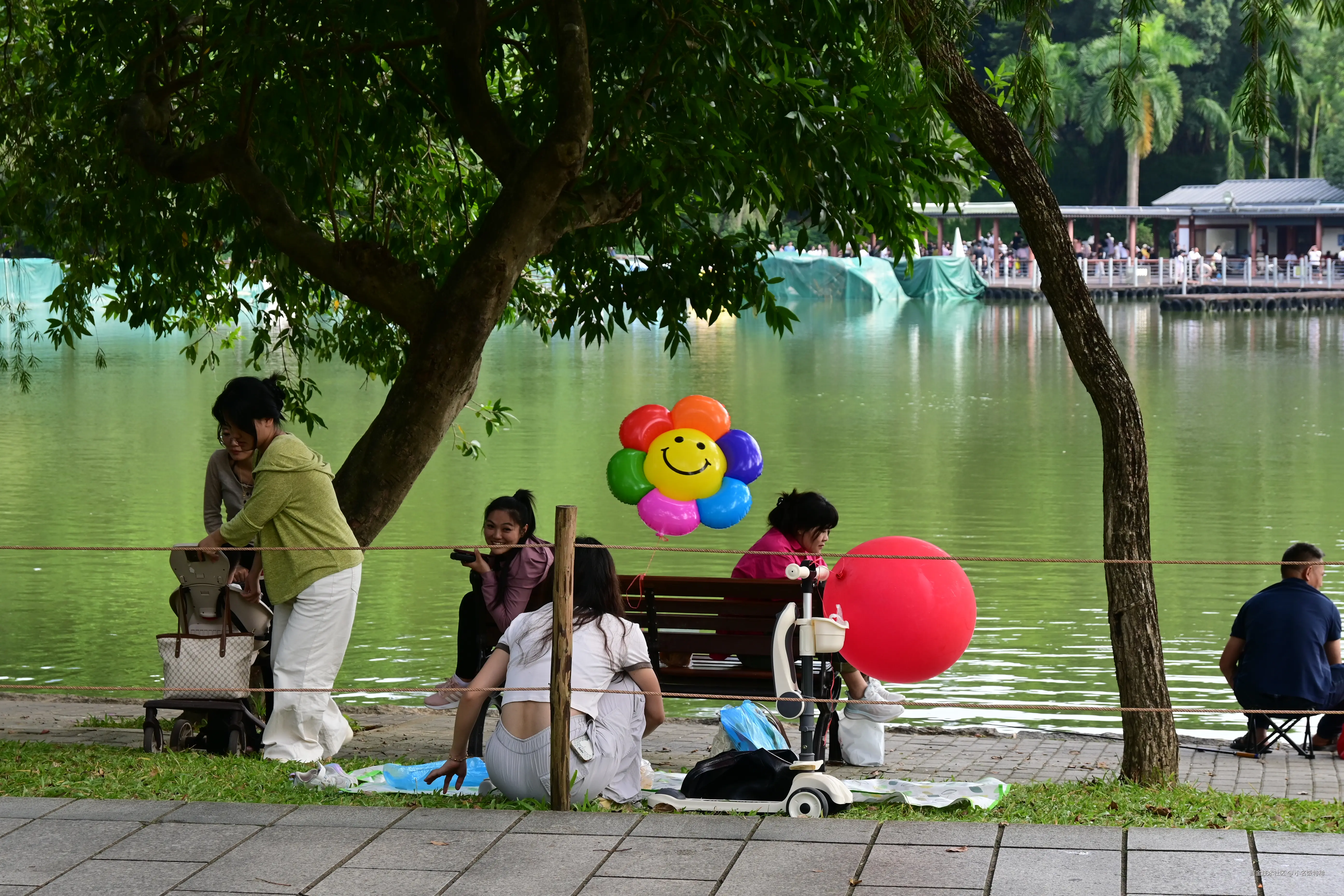 小名饭特稀于2025-10-27 10:00发布的图片