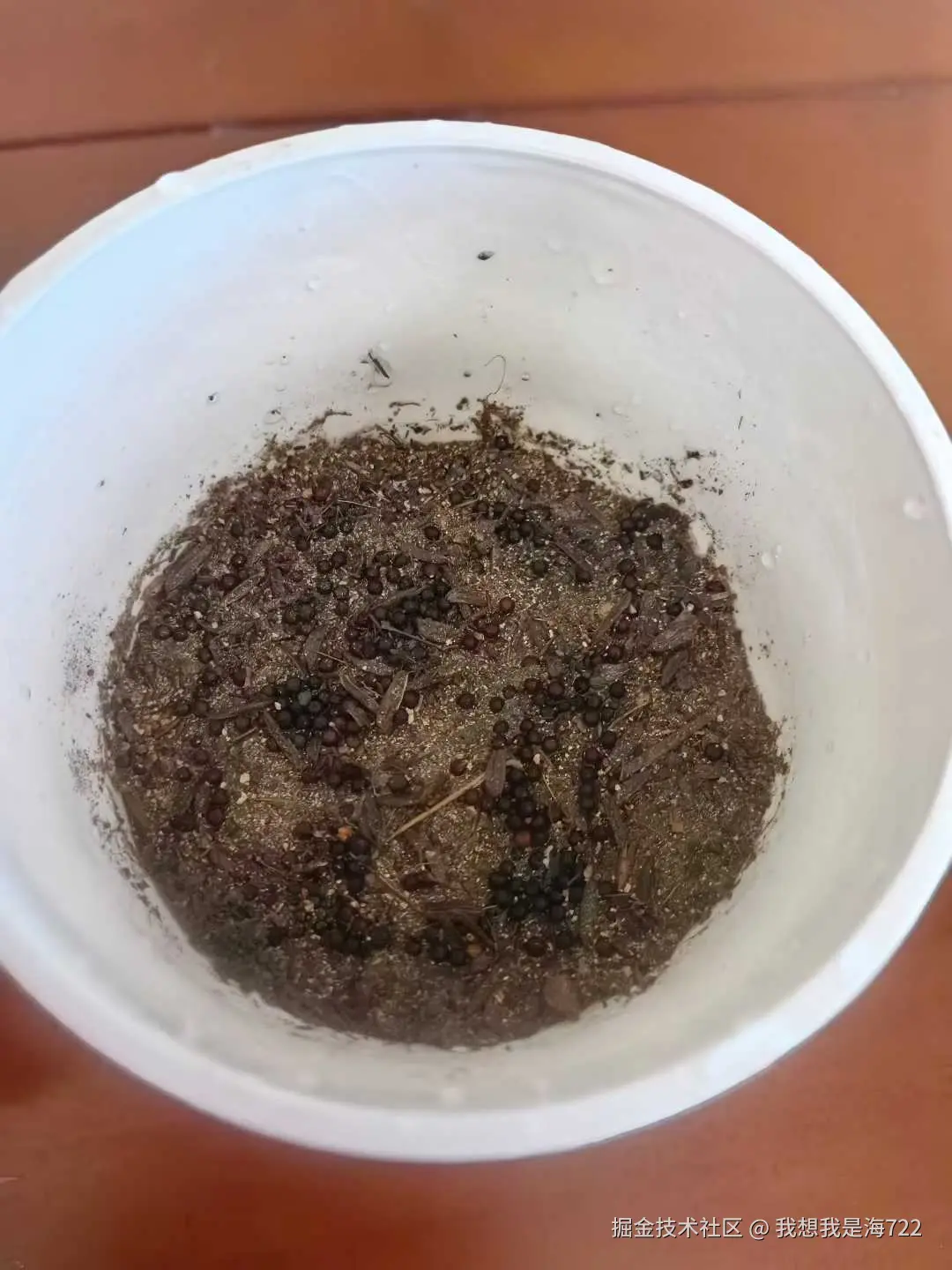 我想我是海722于2026-03-02 09:33发布的图片