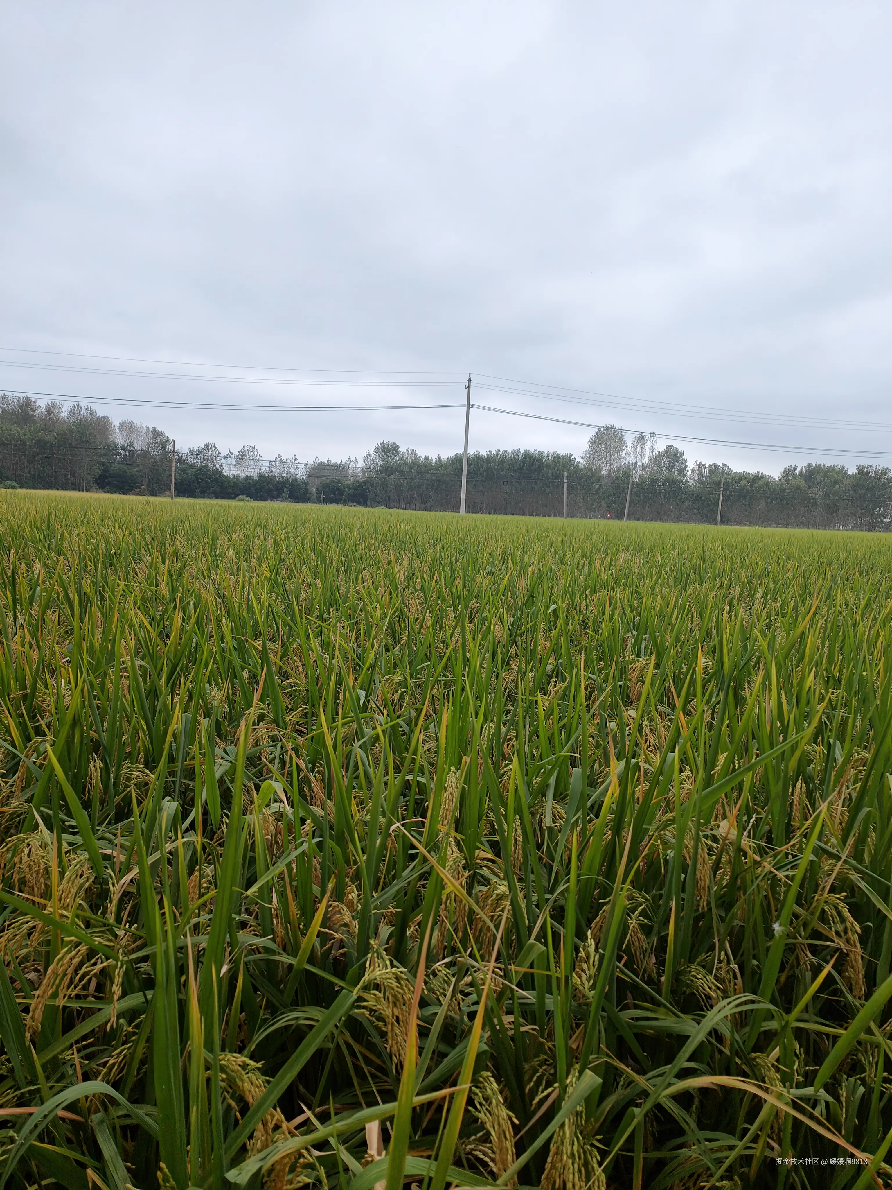 媛媛啊9813于2025-10-02 17:28发布的图片