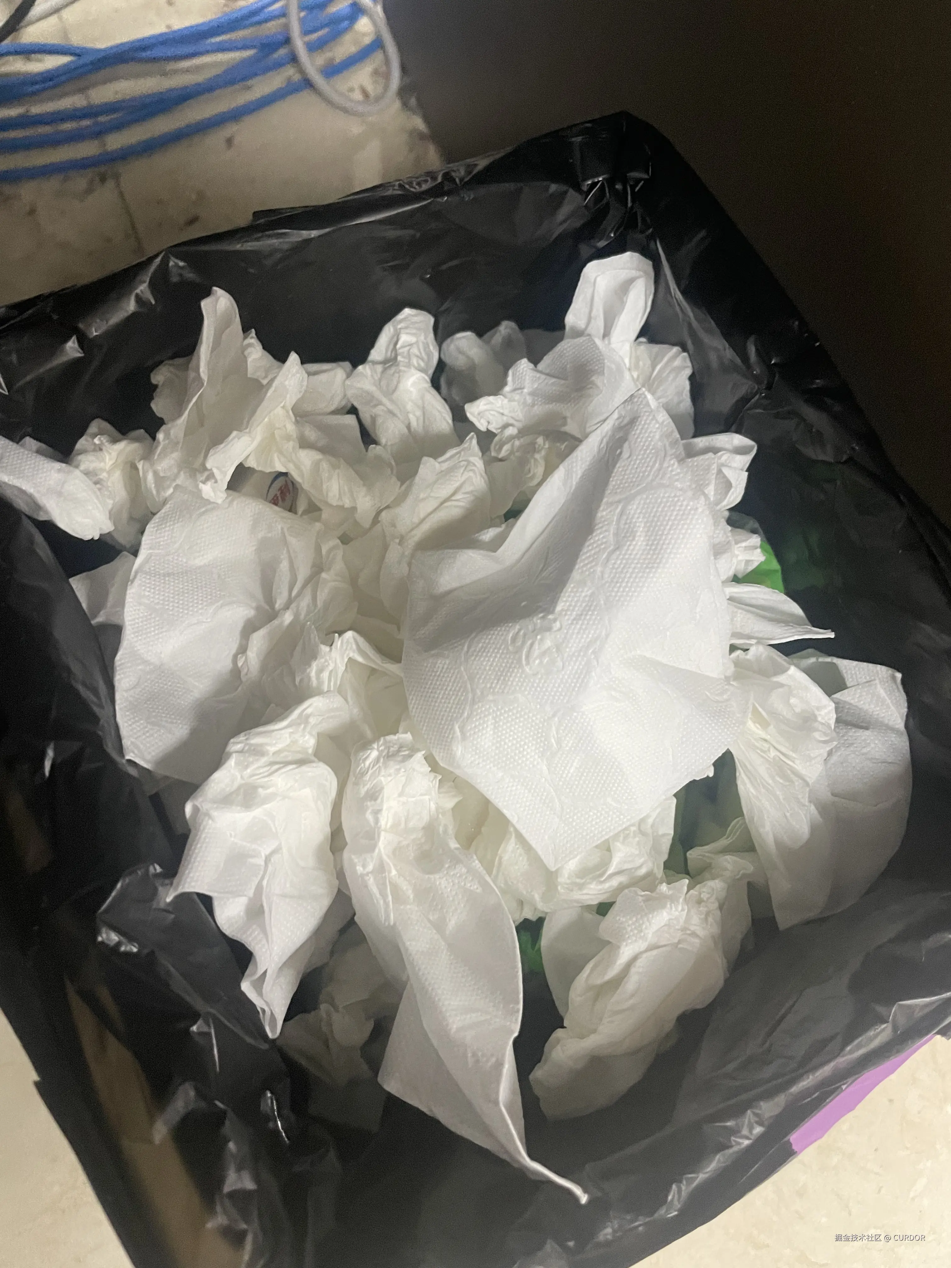 CURDOR于2024-12-27 16:16发布的图片