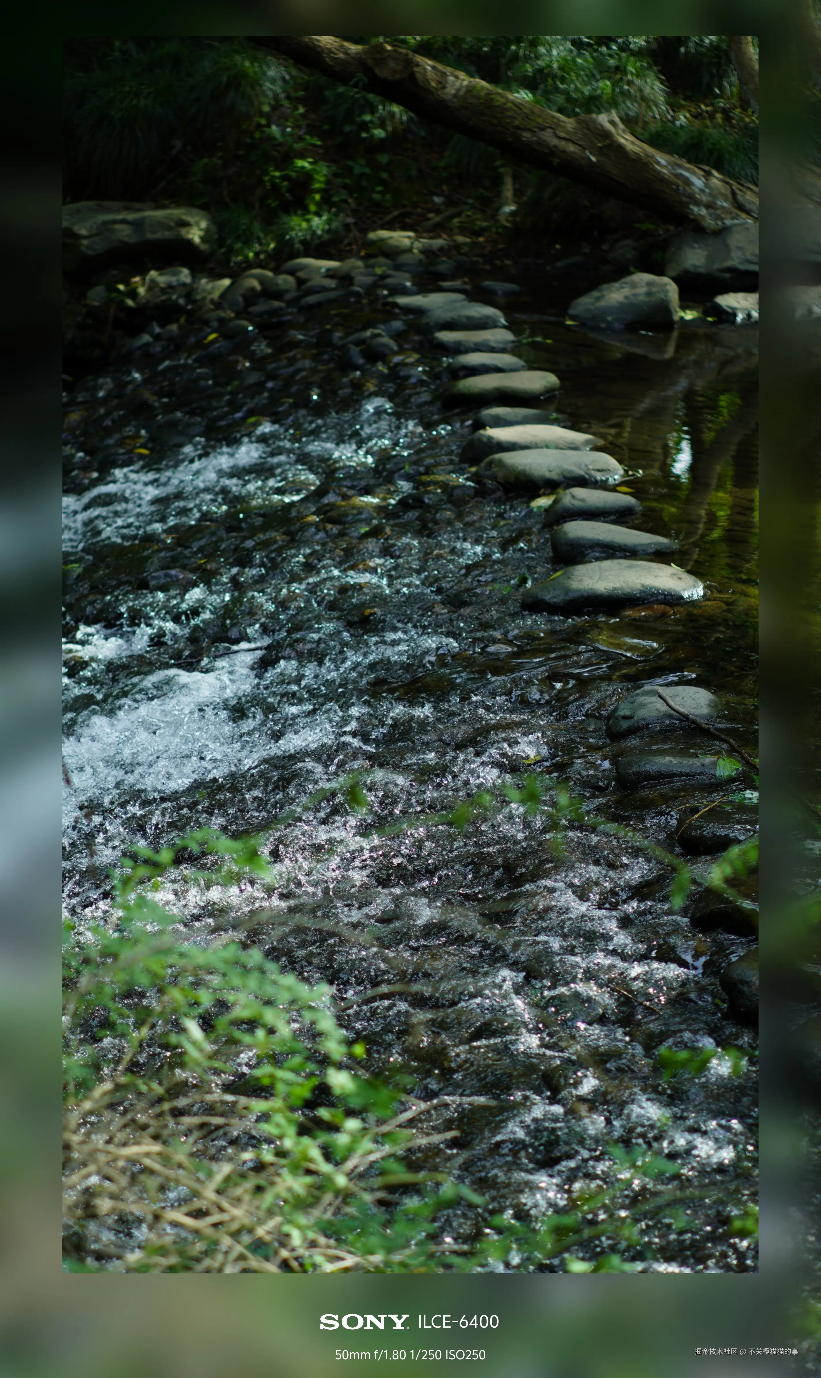 不关橙猫猫的事于2024-10-08 14:03发布的图片