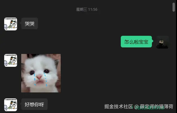 薛定谔的猫薄荷于2026-04-24 09:59发布的图片