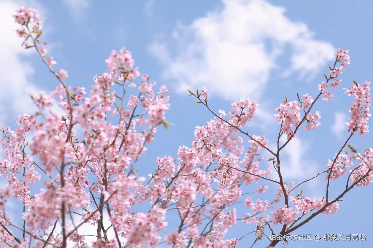 那我关月亮咯于2025-03-17 11:18发布的图片