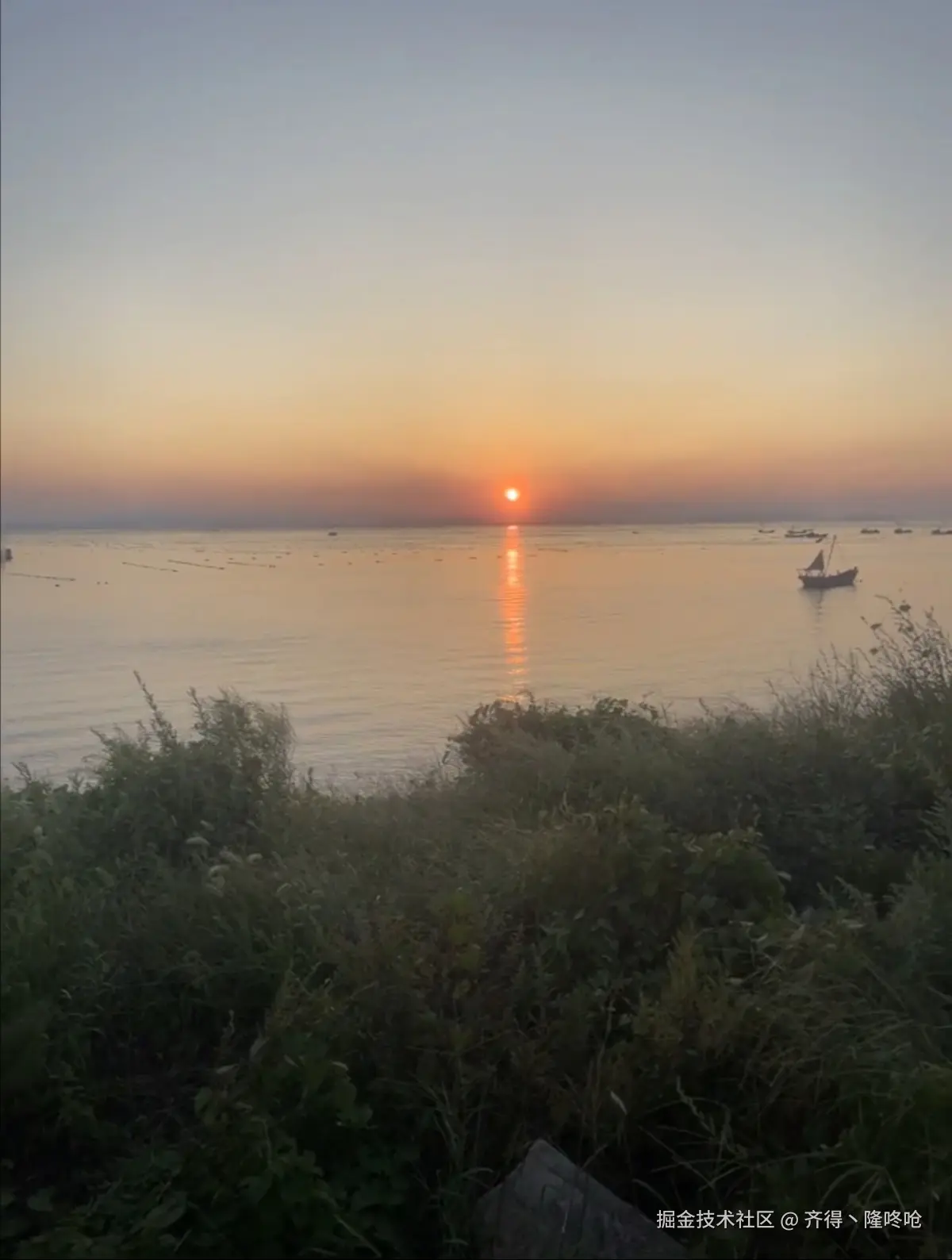 齐得丶隆咚呛于2025-07-09 12:34发布的图片